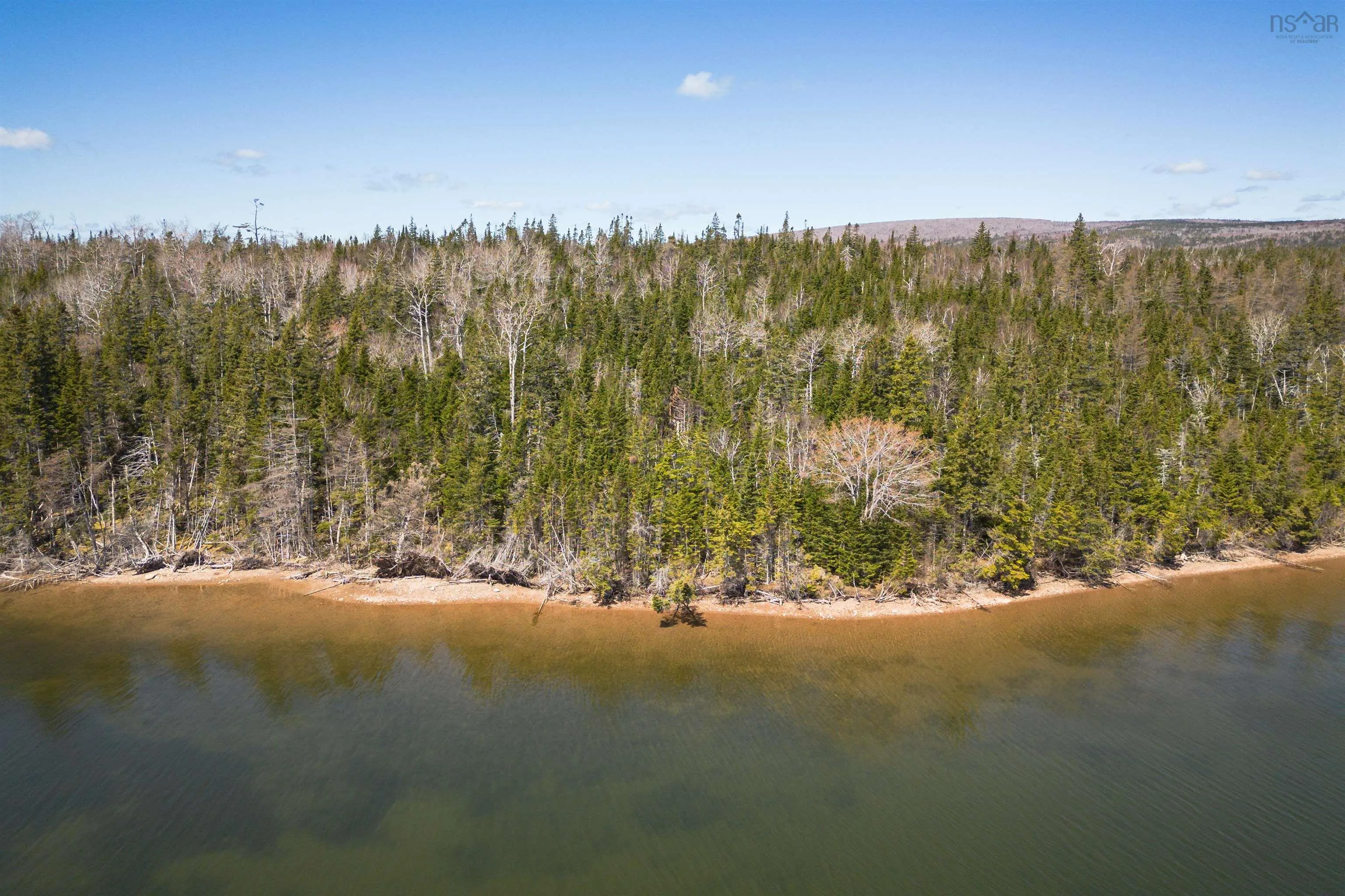 Red Point East Road, Red Point, NS B2C 1N7, ,Land,For Sale,Red Point East,202518752