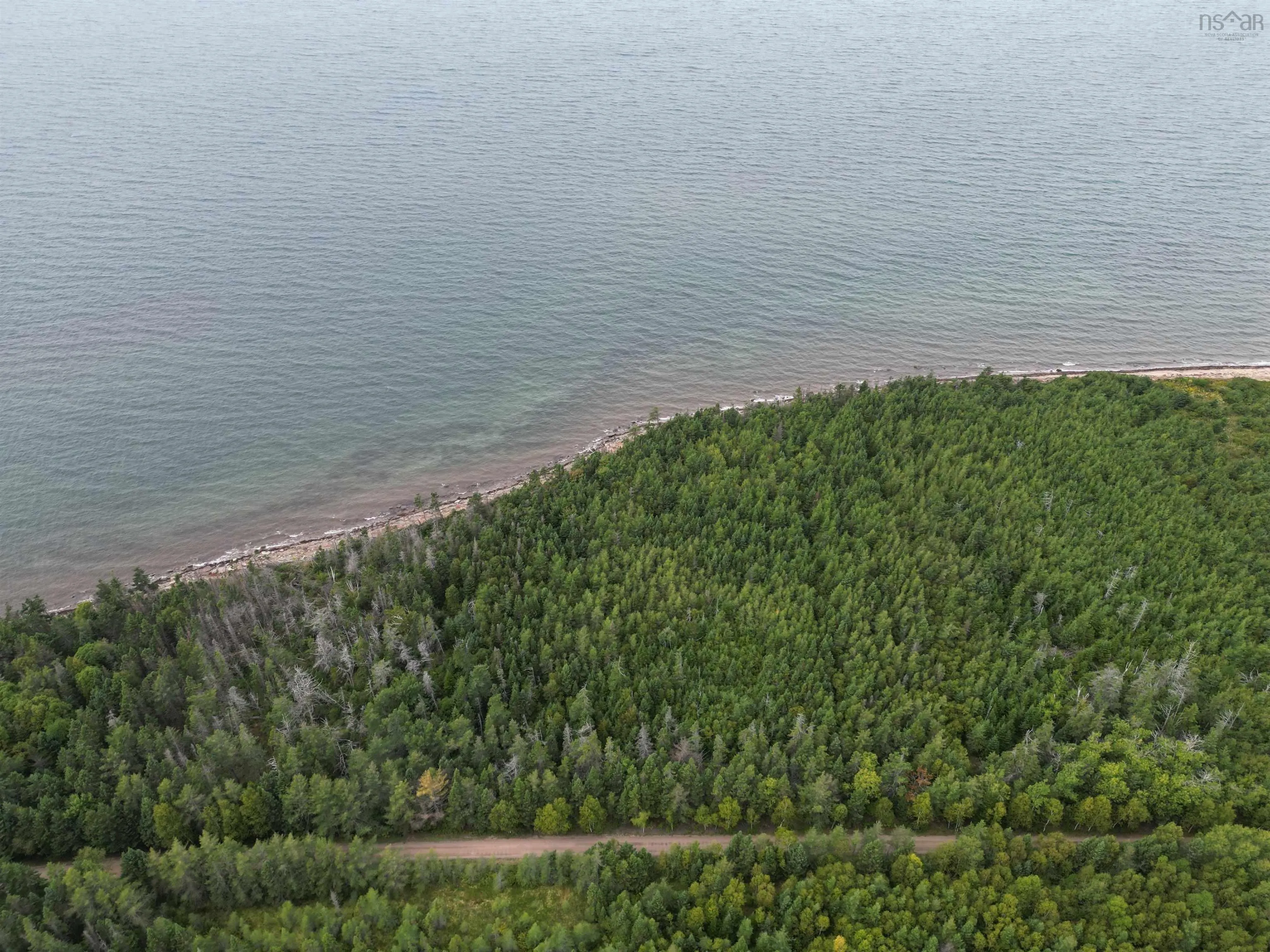 Highway 19, Judique Ns B0e 1p0, ,Land,For Sale,Highway 19,202401394