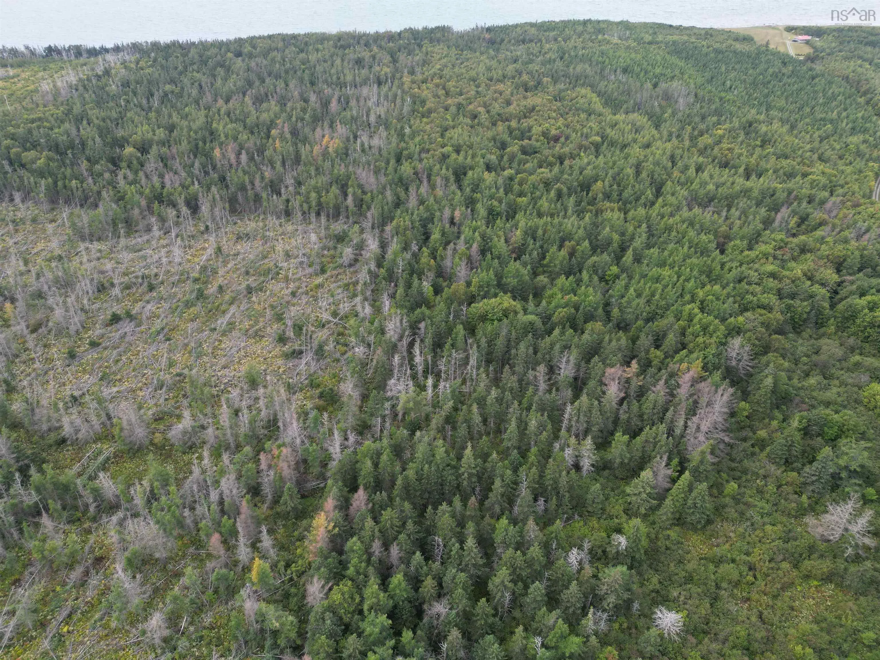 Highway 19, Judique Ns B0e 1p0, ,Land,For Sale,Highway 19,202401394