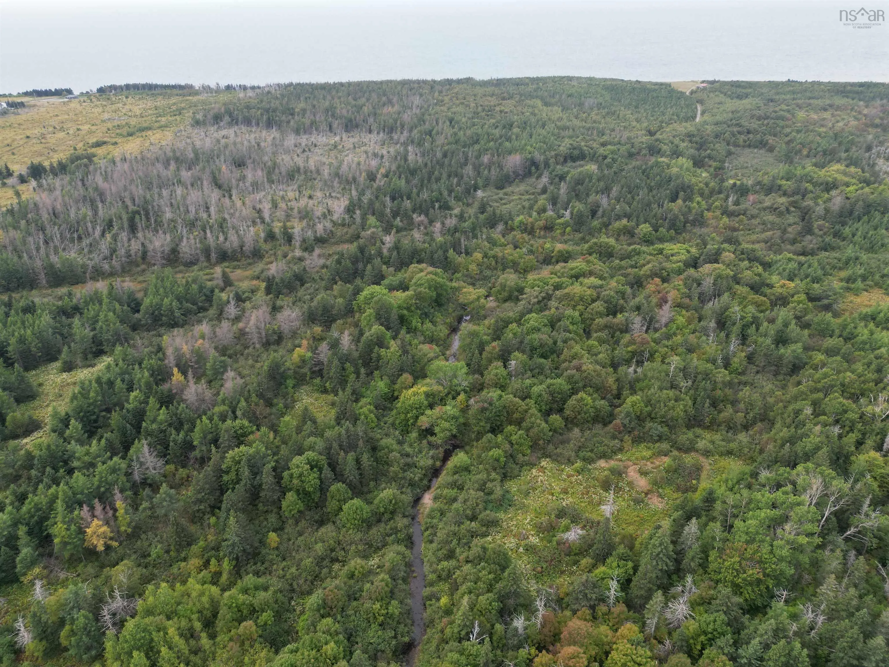 Highway 19, Judique Ns B0e 1p0, ,Land,For Sale,Highway 19,202401394