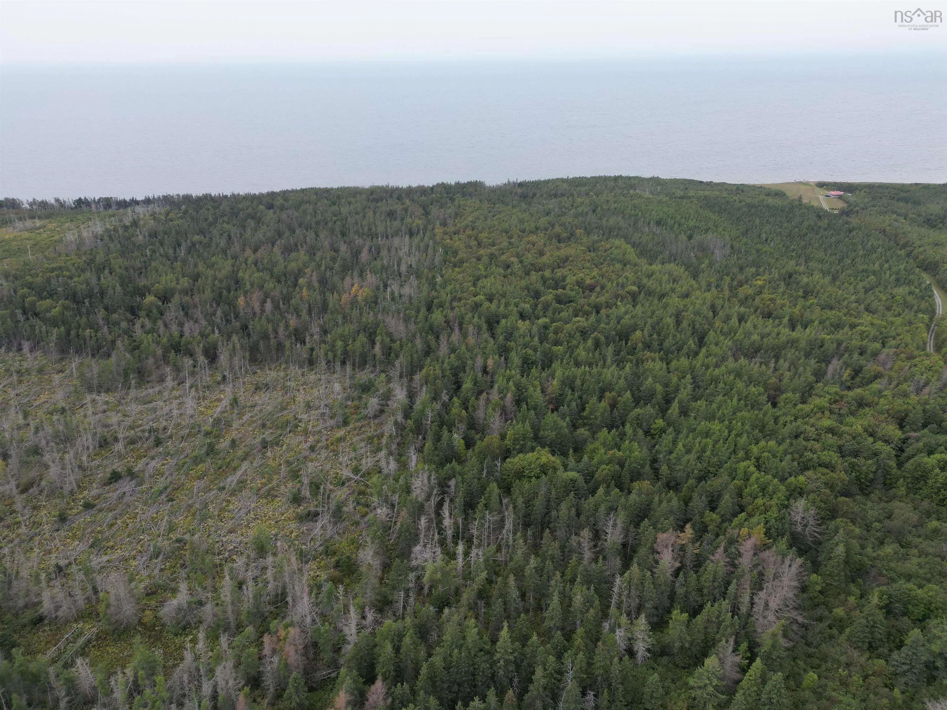 Highway 19, Judique Ns B0e 1p0, ,Land,For Sale,Highway 19,202401394