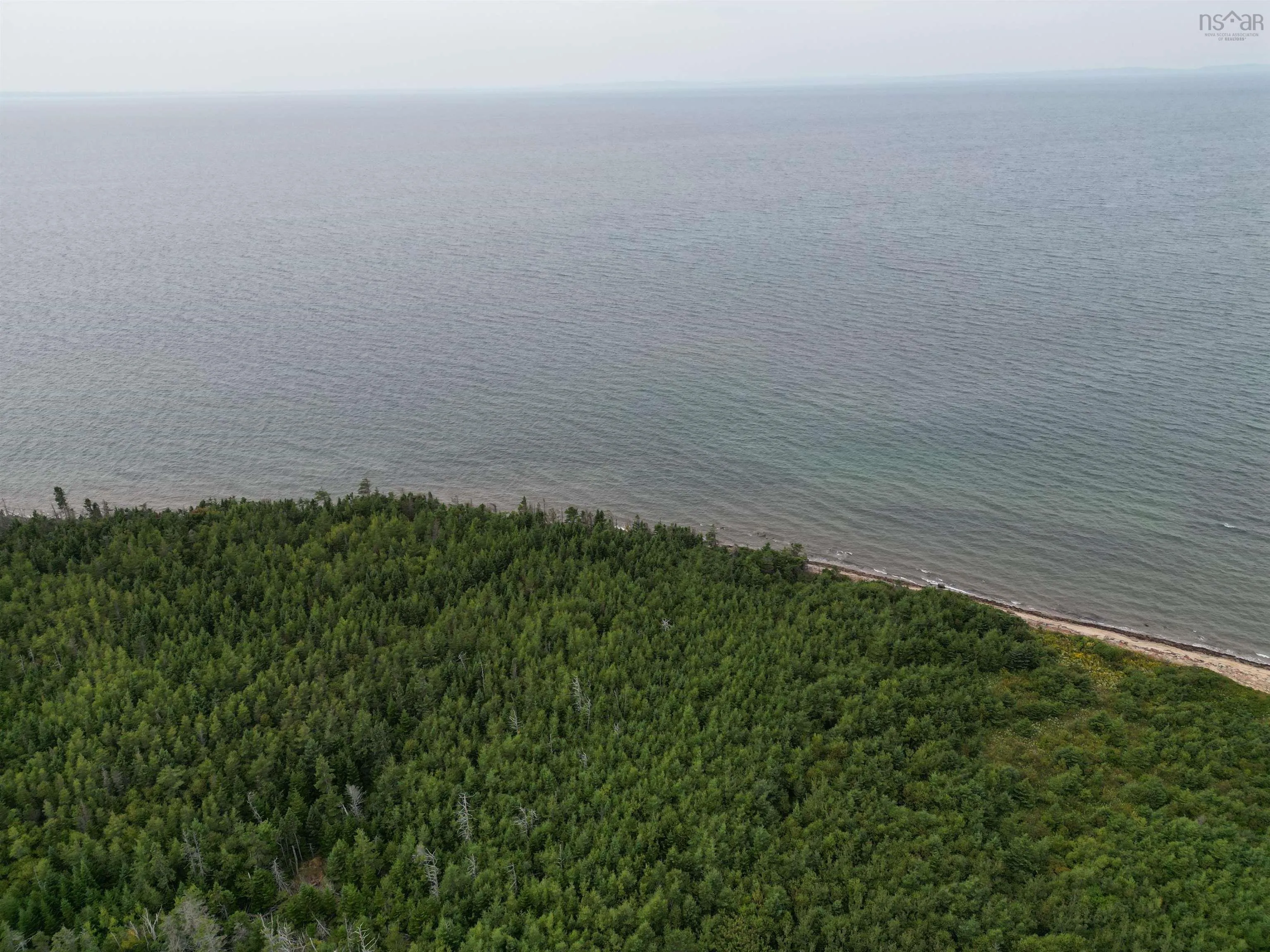 Highway 19, Judique Ns B0e 1p0, ,Land,For Sale,Highway 19,202401394