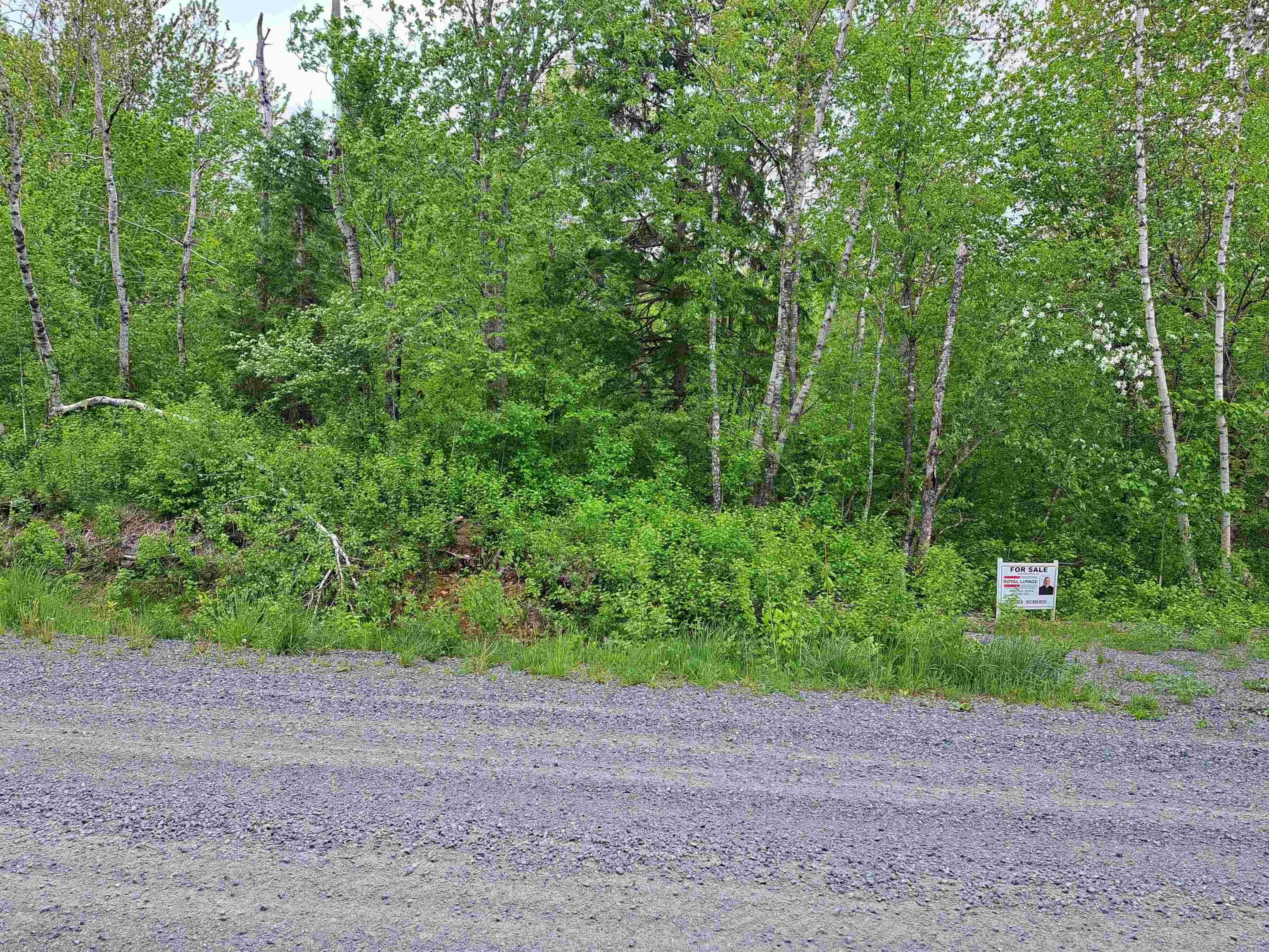 Mattatal Branch Road, West Tatamagouche Ns B0k 1v0, ,Land,For Sale,Mattatal Branch,202410623