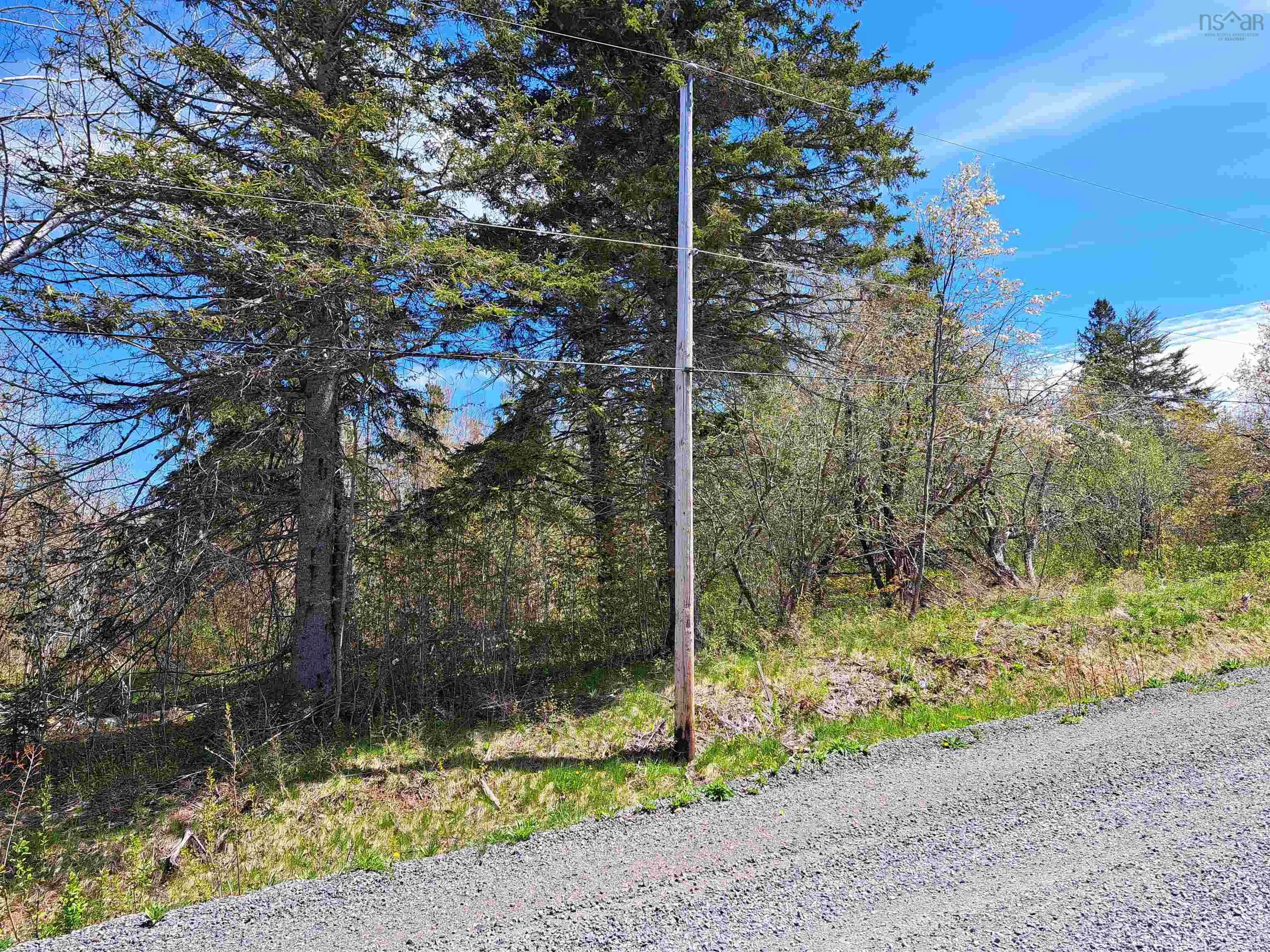 Mattatal Branch Road, West Tatamagouche Ns B0k 1v0, ,Land,For Sale,Mattatal Branch,202410623