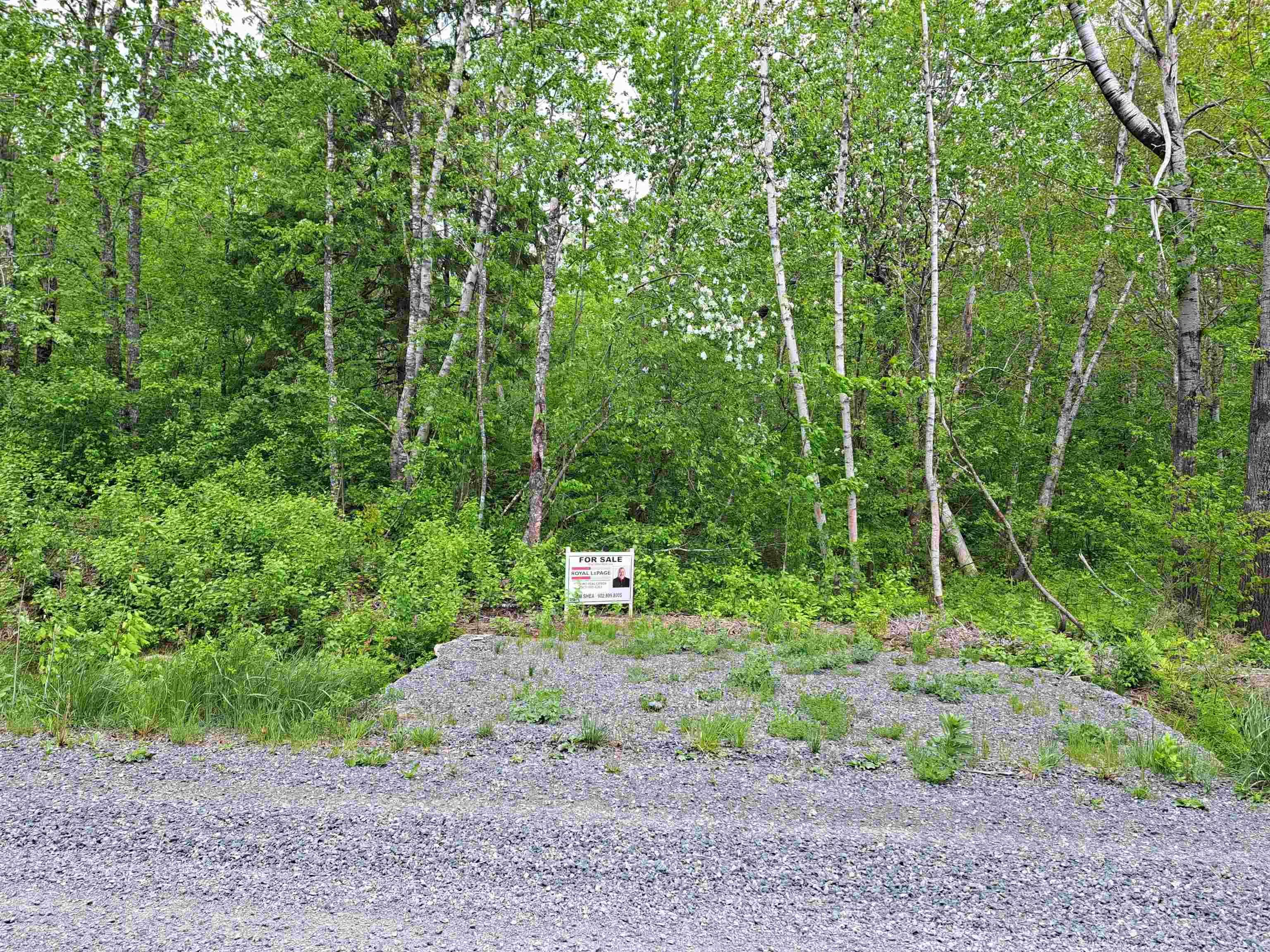 Mattatal Branch Road, West Tatamagouche Ns B0k 1v0, ,Land,For Sale,Mattatal Branch,202410623