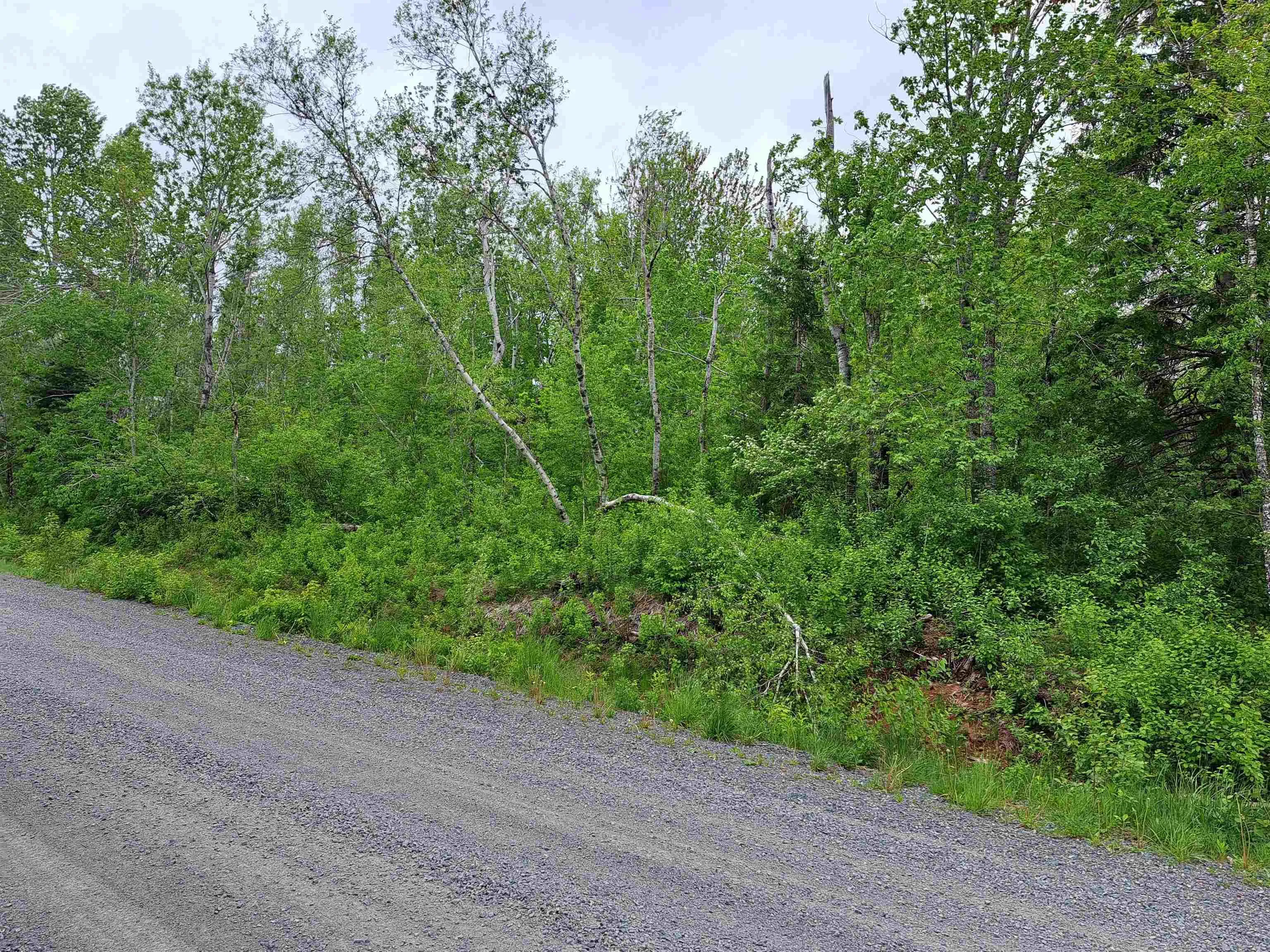 Mattatal Branch Road, West Tatamagouche Ns B0k 1v0, ,Land,For Sale,Mattatal Branch,202410623