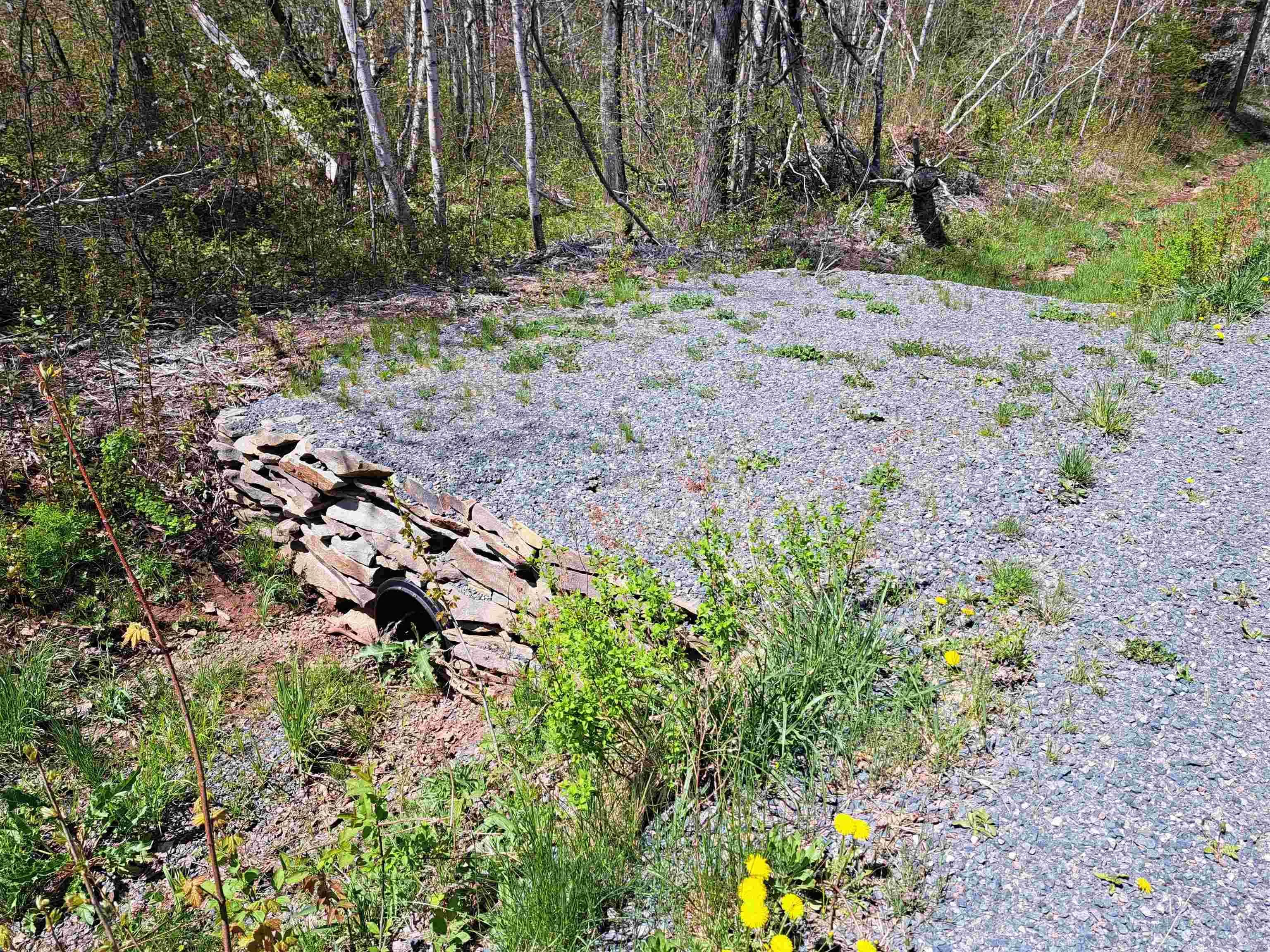 Mattatal Branch Road, West Tatamagouche Ns B0k 1v0, ,Land,For Sale,Mattatal Branch,202410623