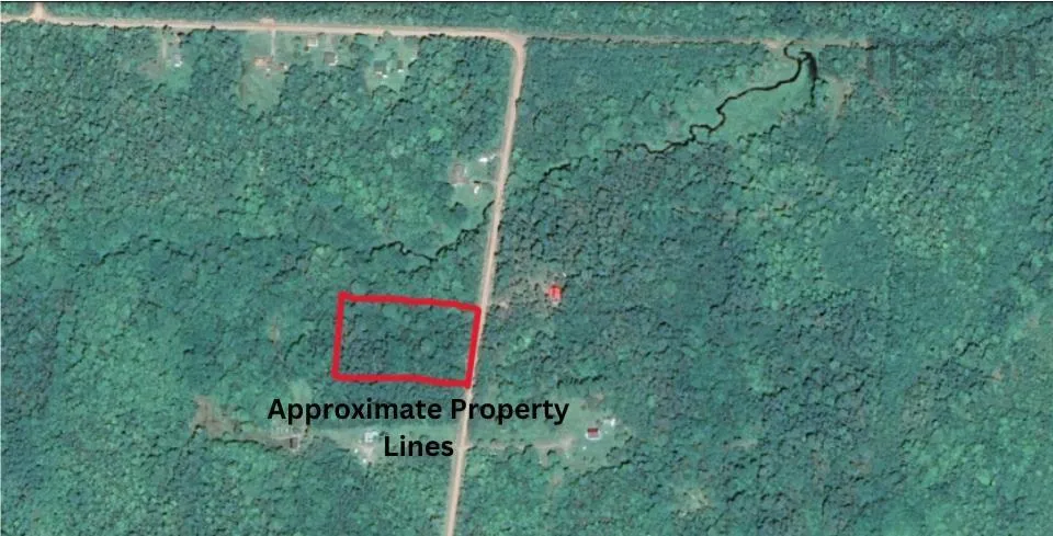 Mattatal Branch Road, West Tatamagouche Ns B0k 1v0, ,Land,For Sale,Mattatal Branch,202410623