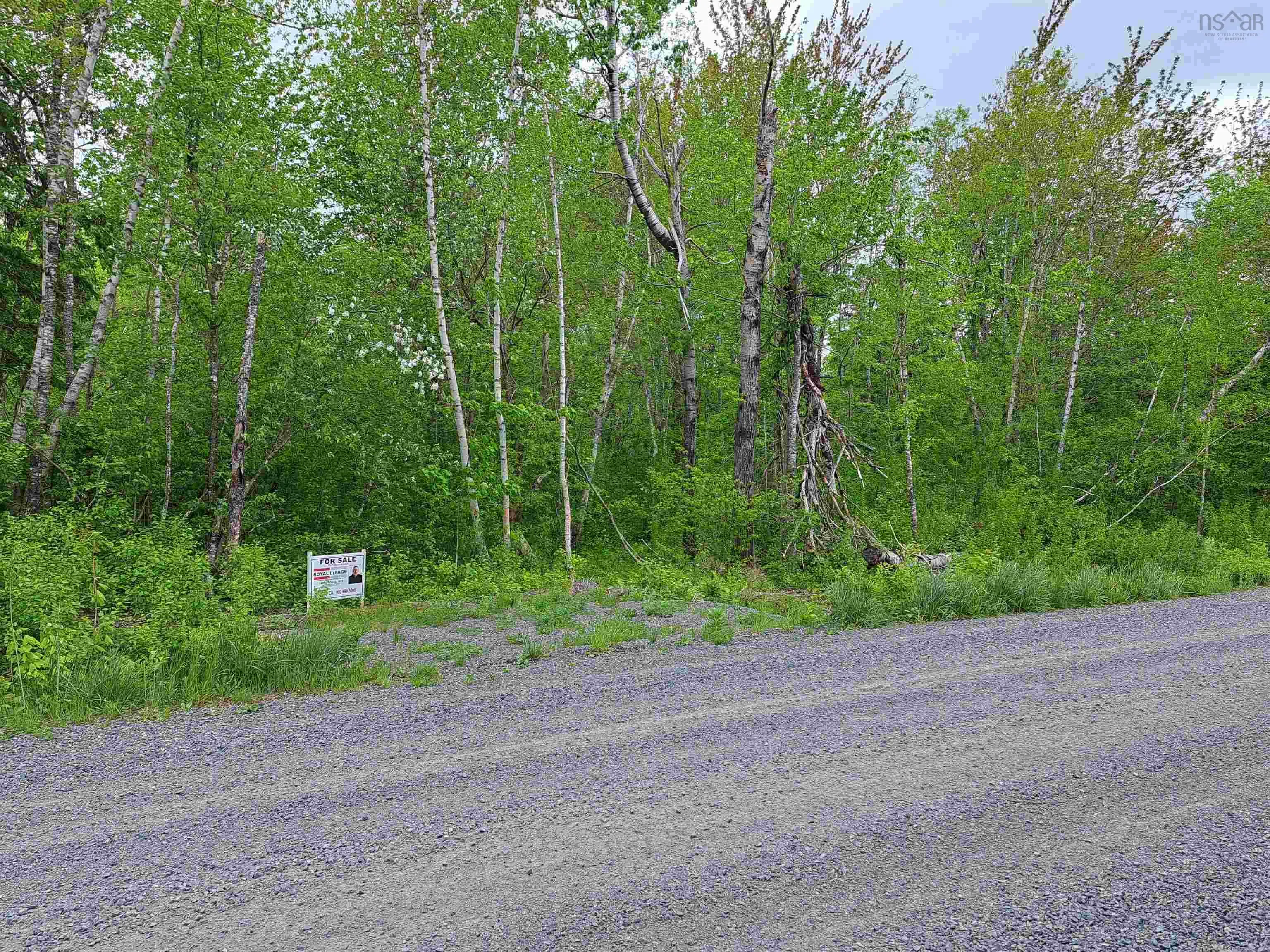 Mattatal Branch Road, West Tatamagouche Ns B0k 1v0, ,Land,For Sale,Mattatal Branch,202410623