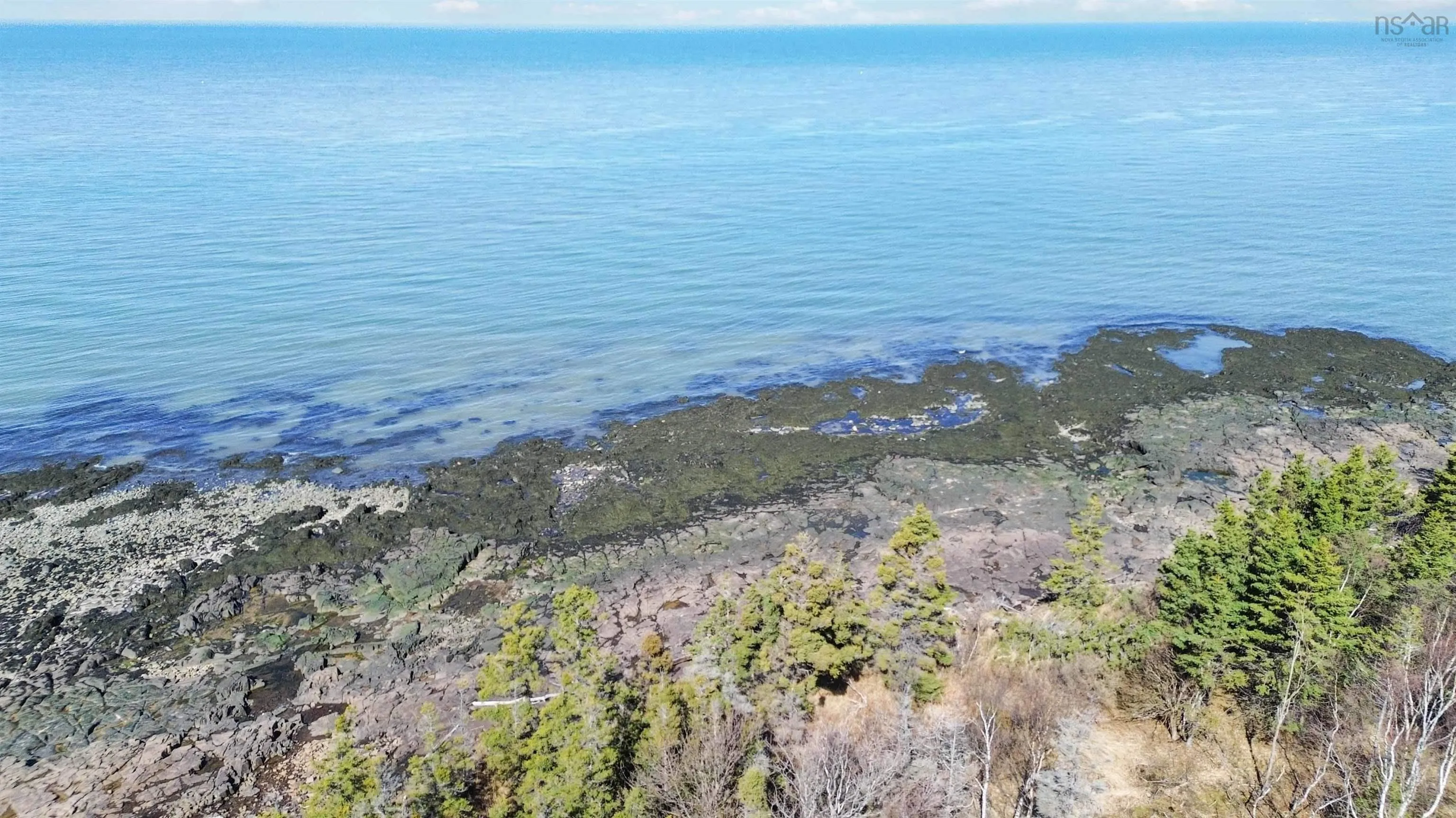7115 Shore Road W, Phinneys Cove, NS B0S 1L0, ,Land,For Sale,Shore,202505560