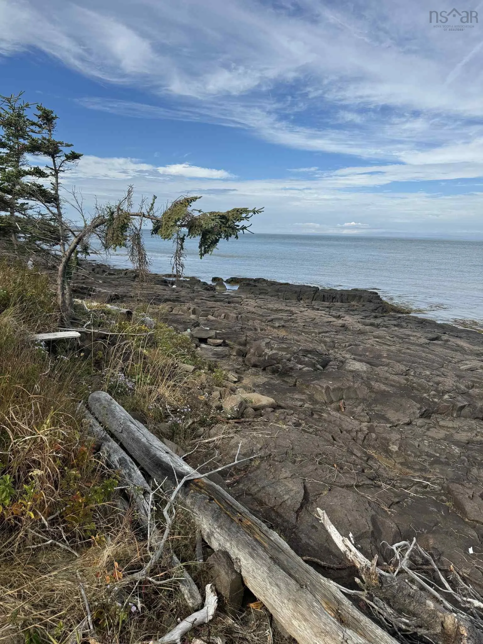 7115 Shore Road W, Phinneys Cove, NS B0S 1L0, ,Land,For Sale,Shore,202505560