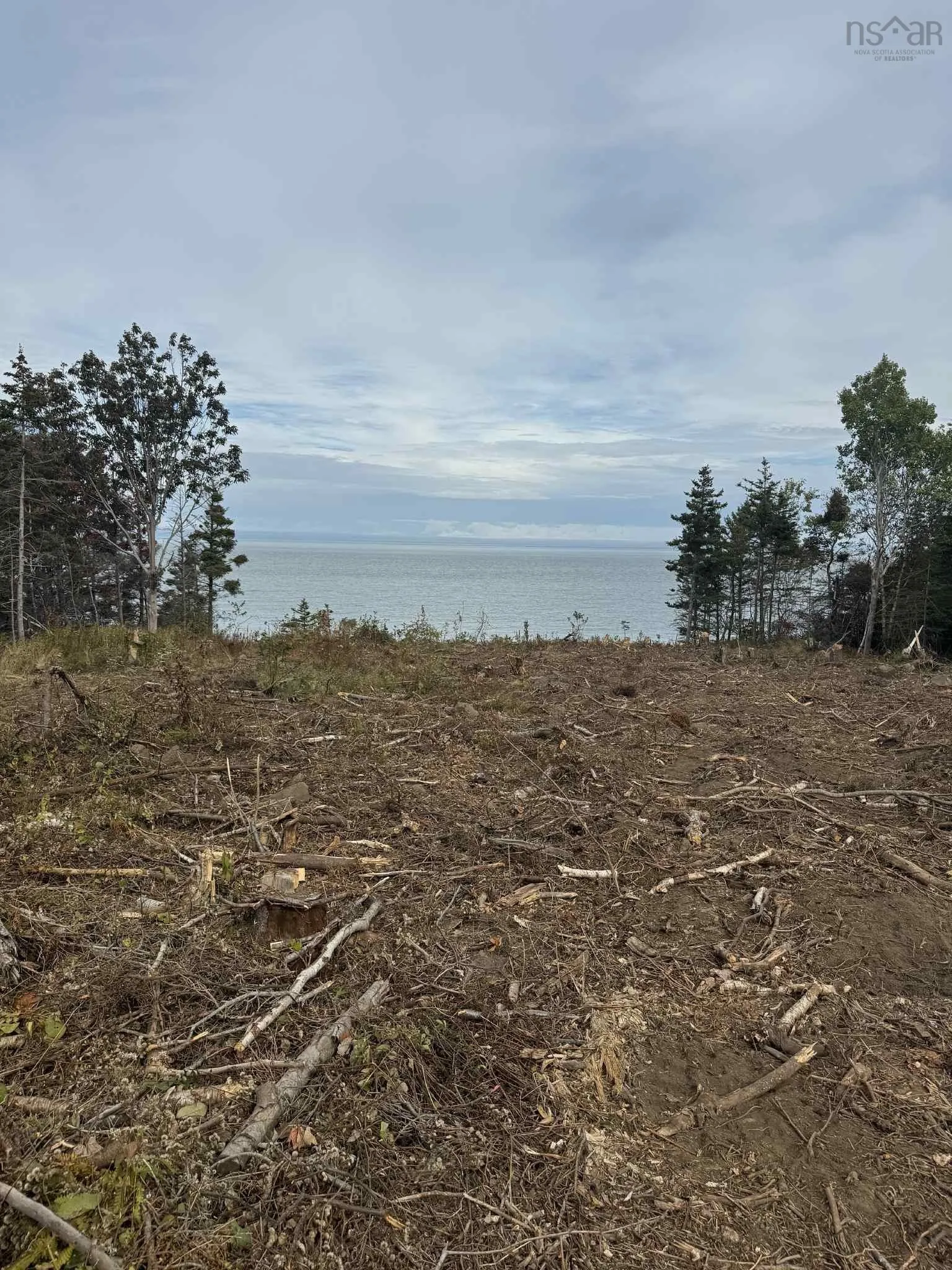 7115 Shore Road W, Phinneys Cove, NS B0S 1L0, ,Land,For Sale,Shore,202505560