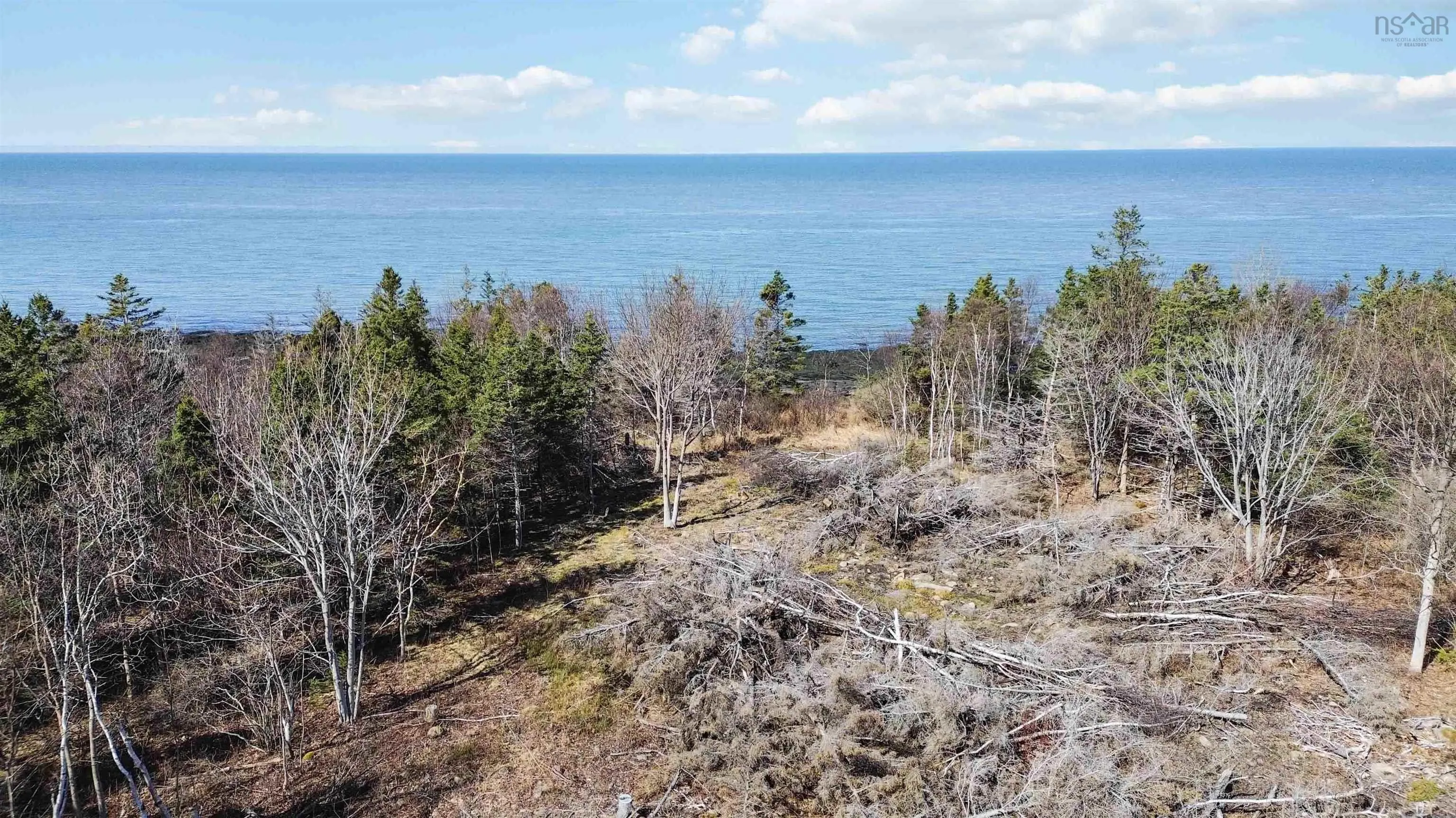 7115 Shore Road W, Phinneys Cove, NS B0S 1L0, ,Land,For Sale,Shore,202505560