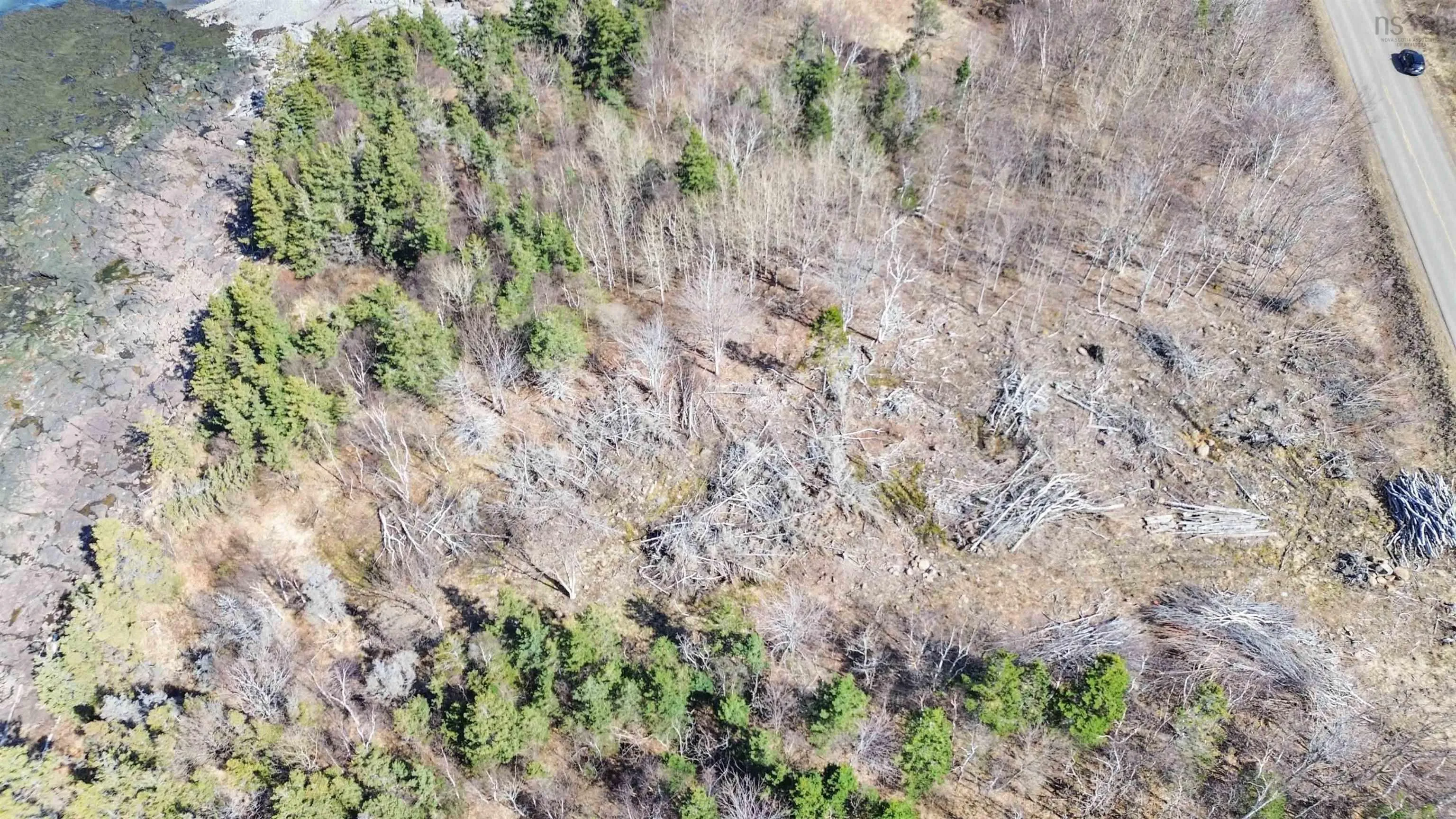 7115 Shore Road W, Phinneys Cove, NS B0S 1L0, ,Land,For Sale,Shore,202505560