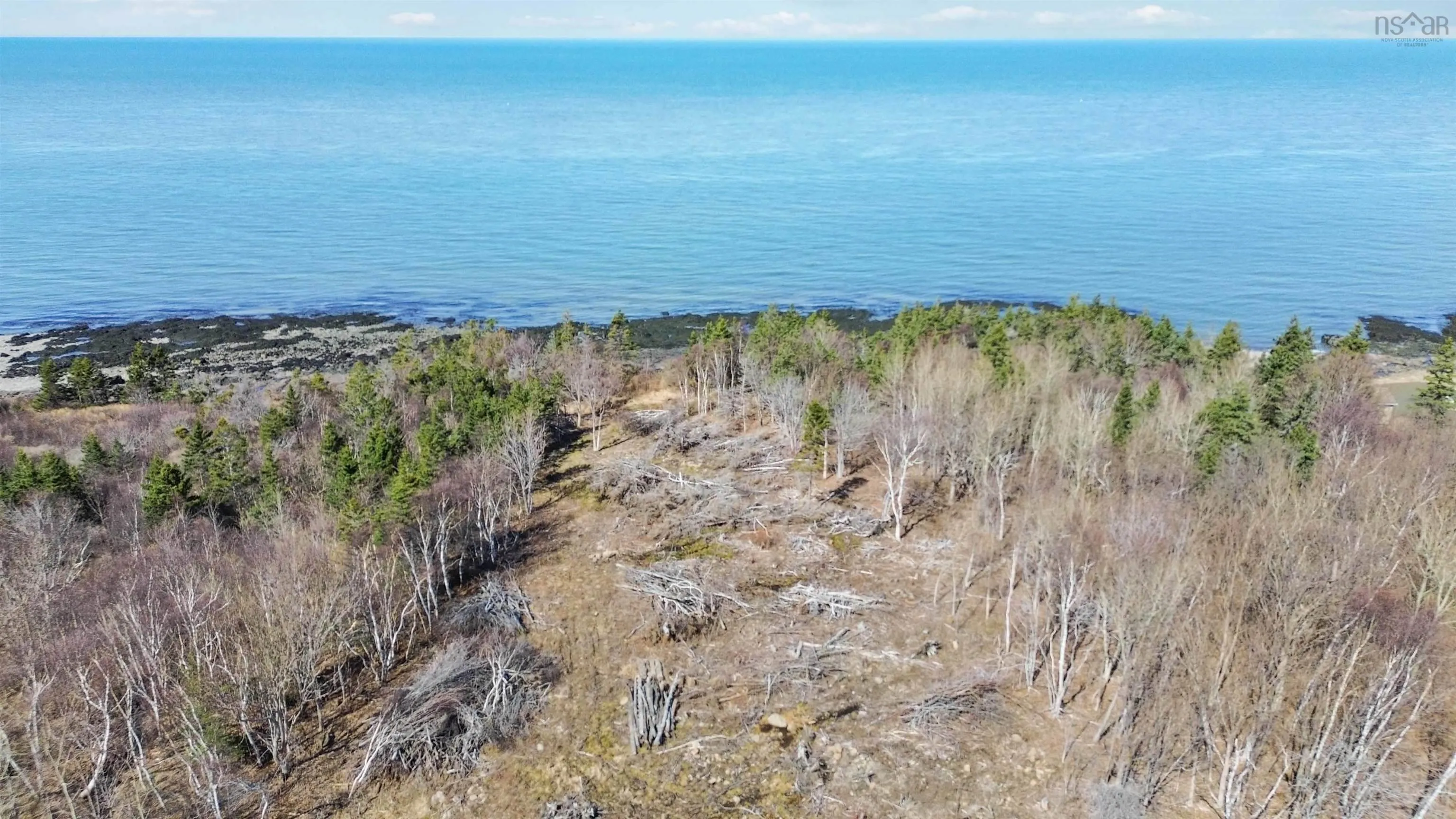 7115 Shore Road W, Phinneys Cove, NS B0S 1L0, ,Land,For Sale,Shore,202505560