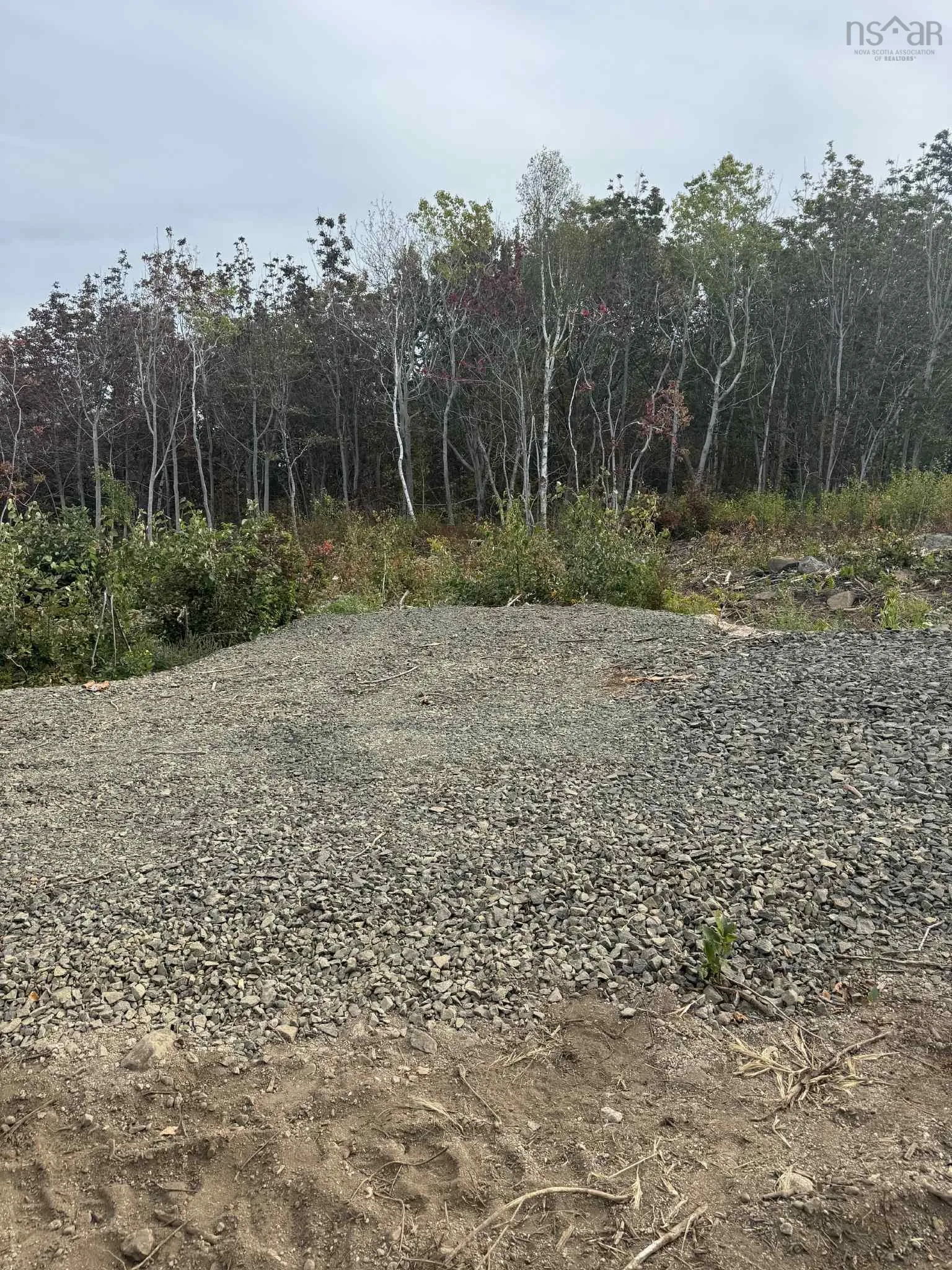 7115 Shore Road W, Phinneys Cove, NS B0S 1L0, ,Land,For Sale,Shore,202505560