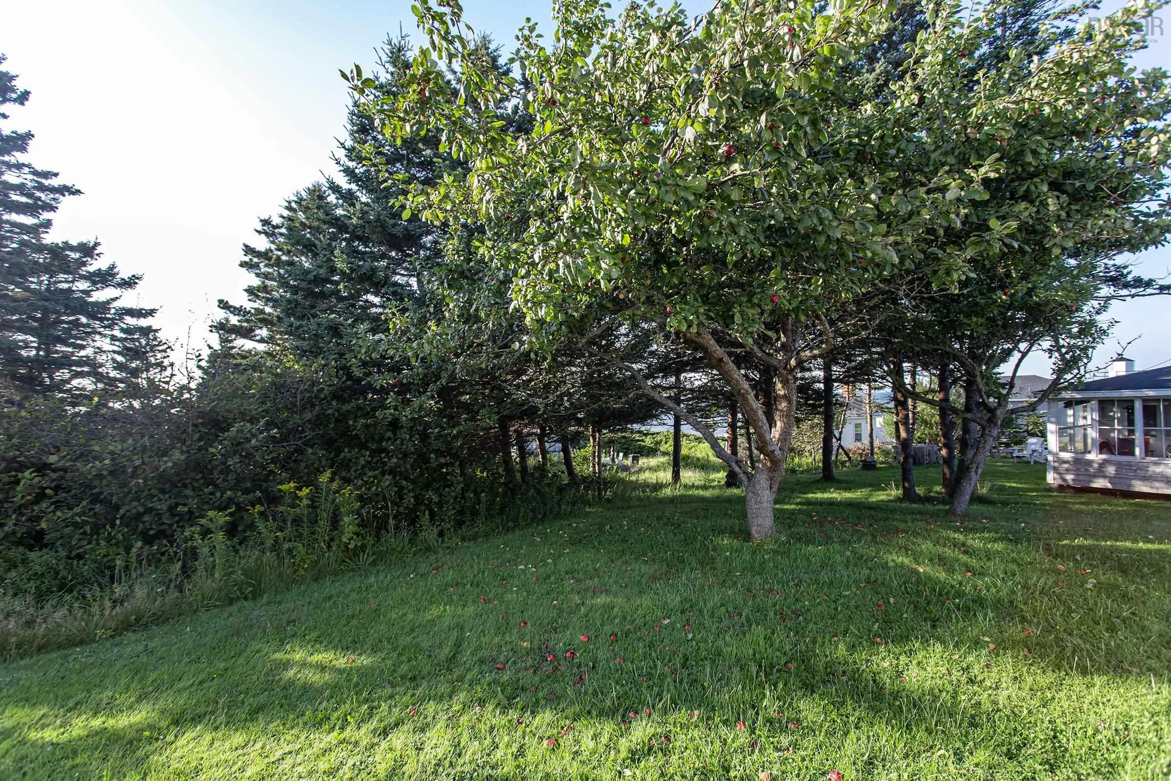 17 Gordon Road, Margaretsville, NS B0S 1N0, 3 Bedrooms Bedrooms, ,1 BathroomBathrooms,Residential,For Sale,Gordon,202519547