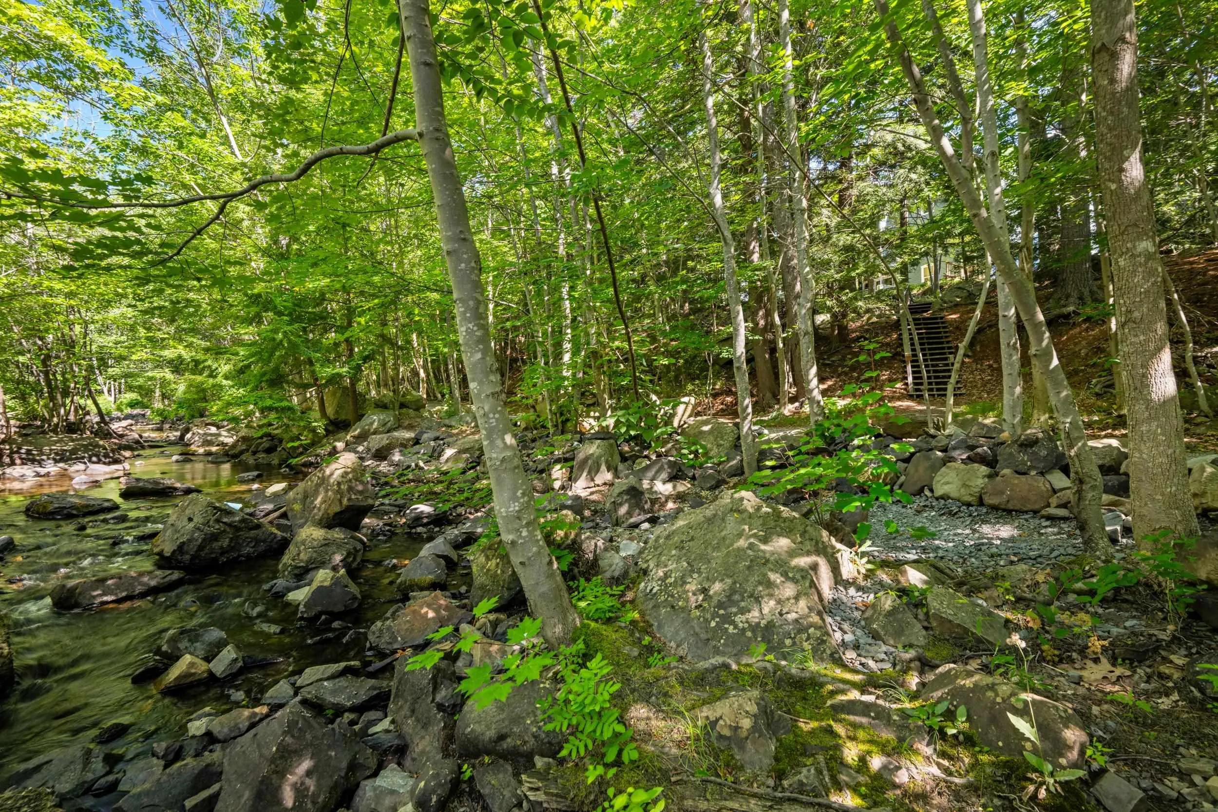 232-24 Hammonds Plans Road, Bedford, NS B4A 3P3, 2 Bedrooms Bedrooms, ,1 BathroomBathrooms,Residential,For Sale,Hammonds Plains,202518629