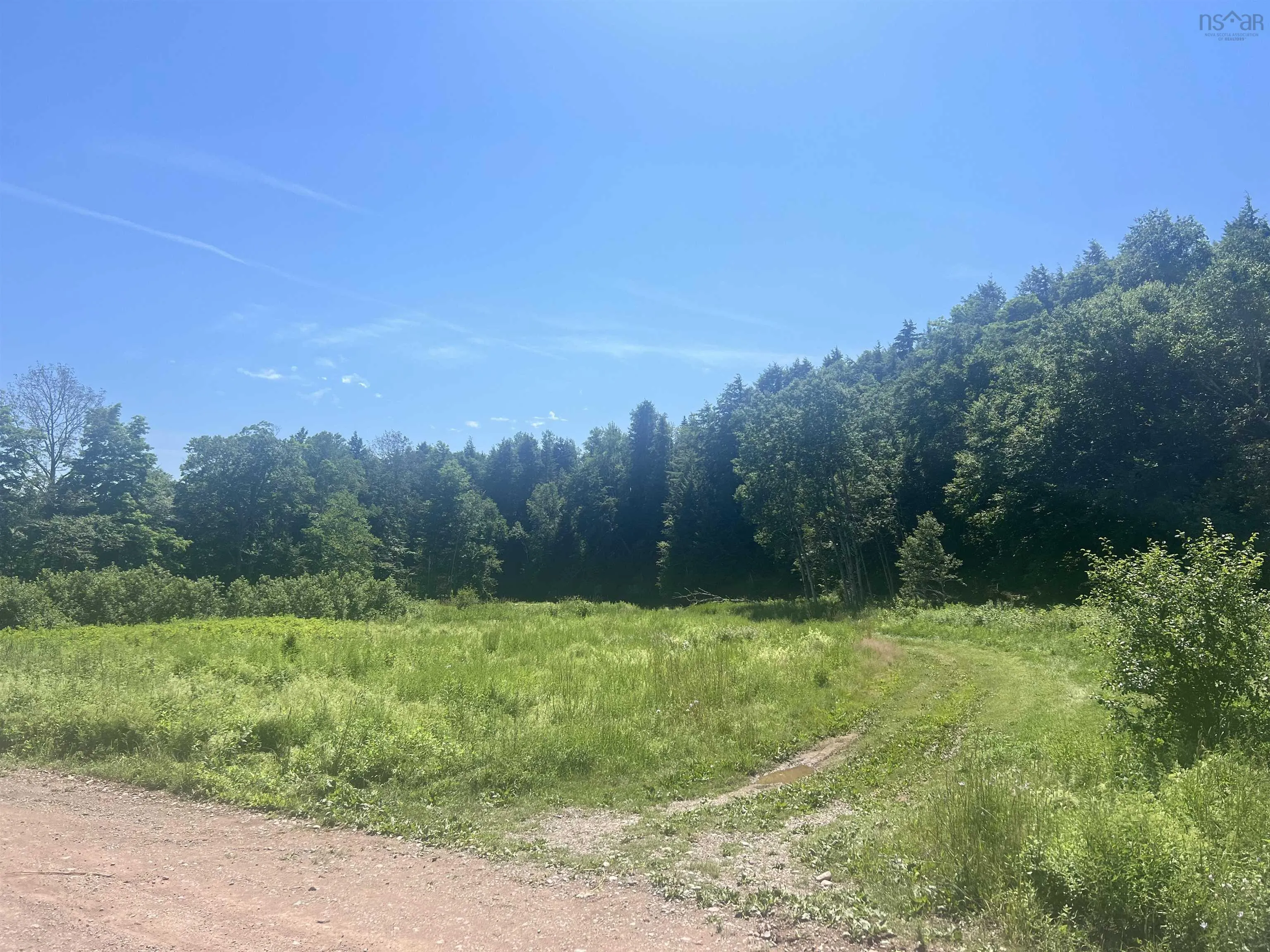 Spencer Cross Road, Great Village Ns B0m 1l0, ,Land,For Sale,Spencer Cross,202416384