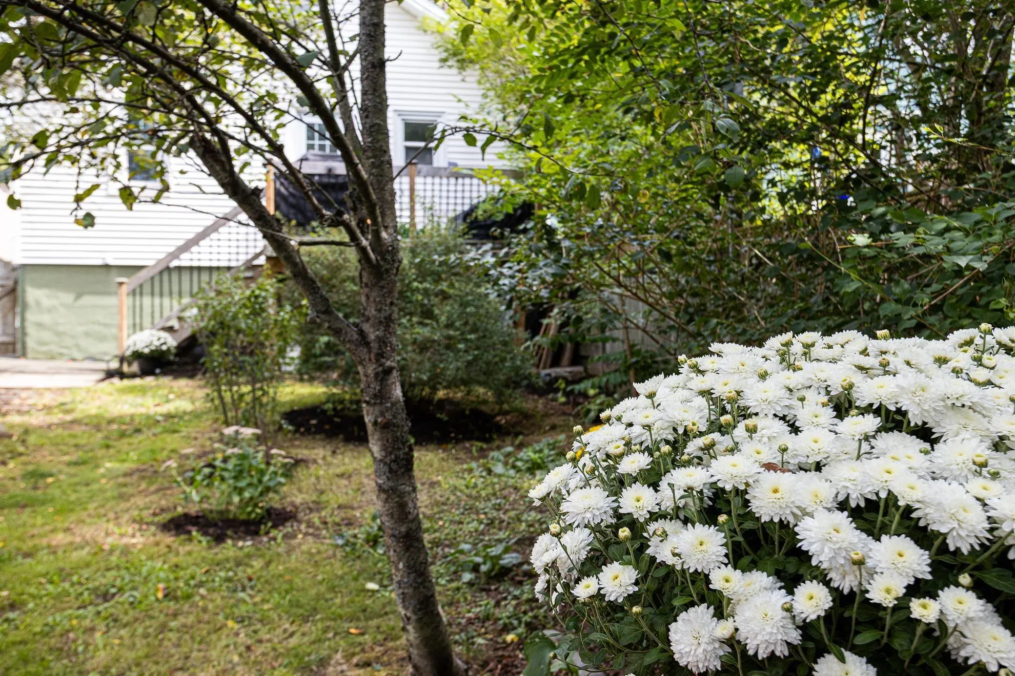 2578 Poplar Street, Halifax, NS B3L 2Y8, 2 Bedrooms Bedrooms, ,1 BathroomBathrooms,Residential,For Sale,Poplar,202523031