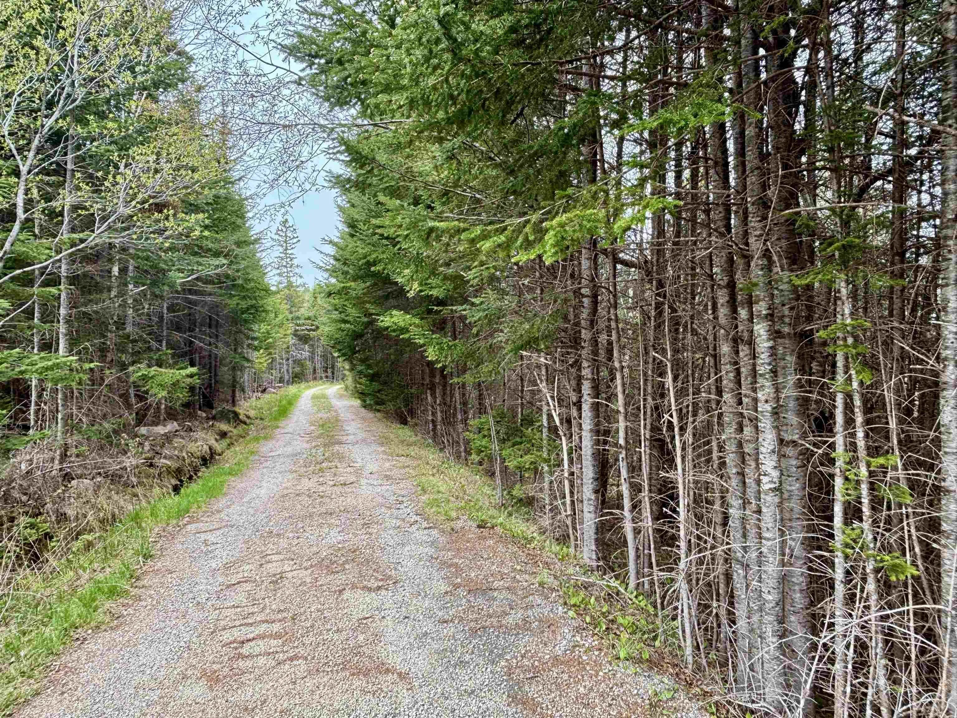 74 Old Oakland Road, Indian Point, NS B0J 2E0, 1 Bedroom Bedrooms, ,1 BathroomBathrooms,Residential,For Sale,Old Oakland,202510935