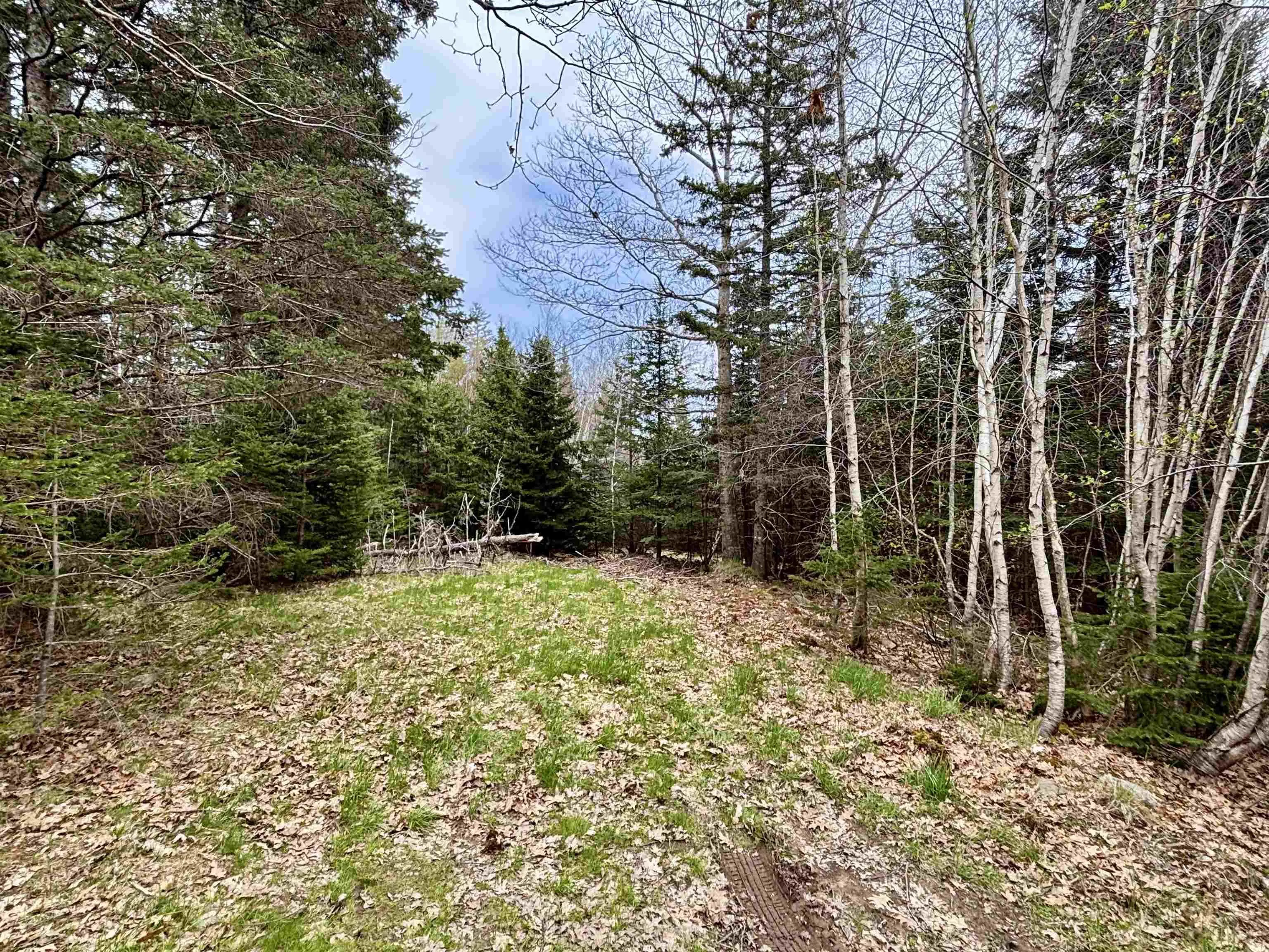 74 Old Oakland Road, Indian Point, NS B0J 2E0, 1 Bedroom Bedrooms, ,1 BathroomBathrooms,Residential,For Sale,Old Oakland,202510935