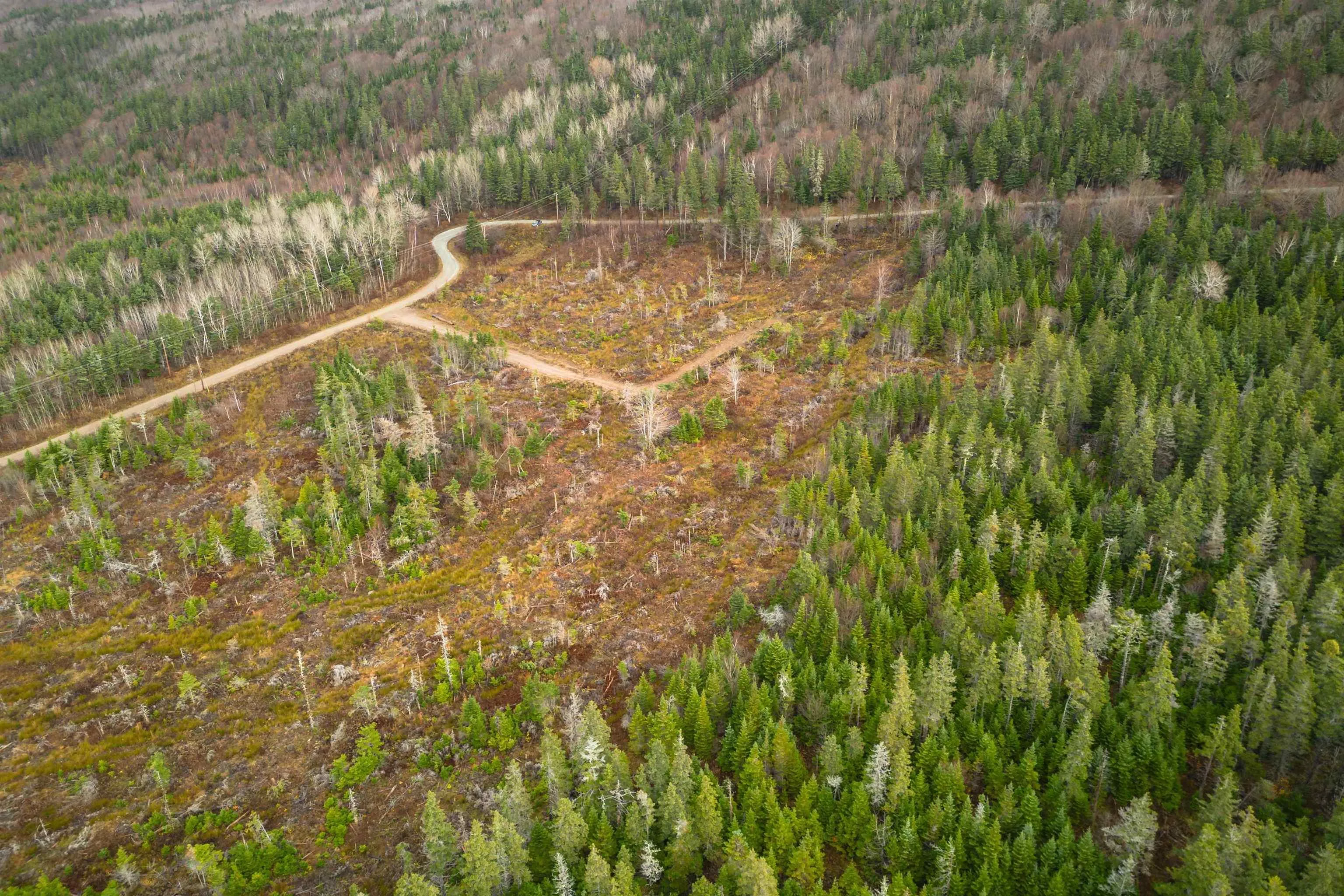 Lot 12 Creignish Mountain Road, Creignish Ns B9a 1b6, ,Land,For Sale,Creignish Mountain,202427130