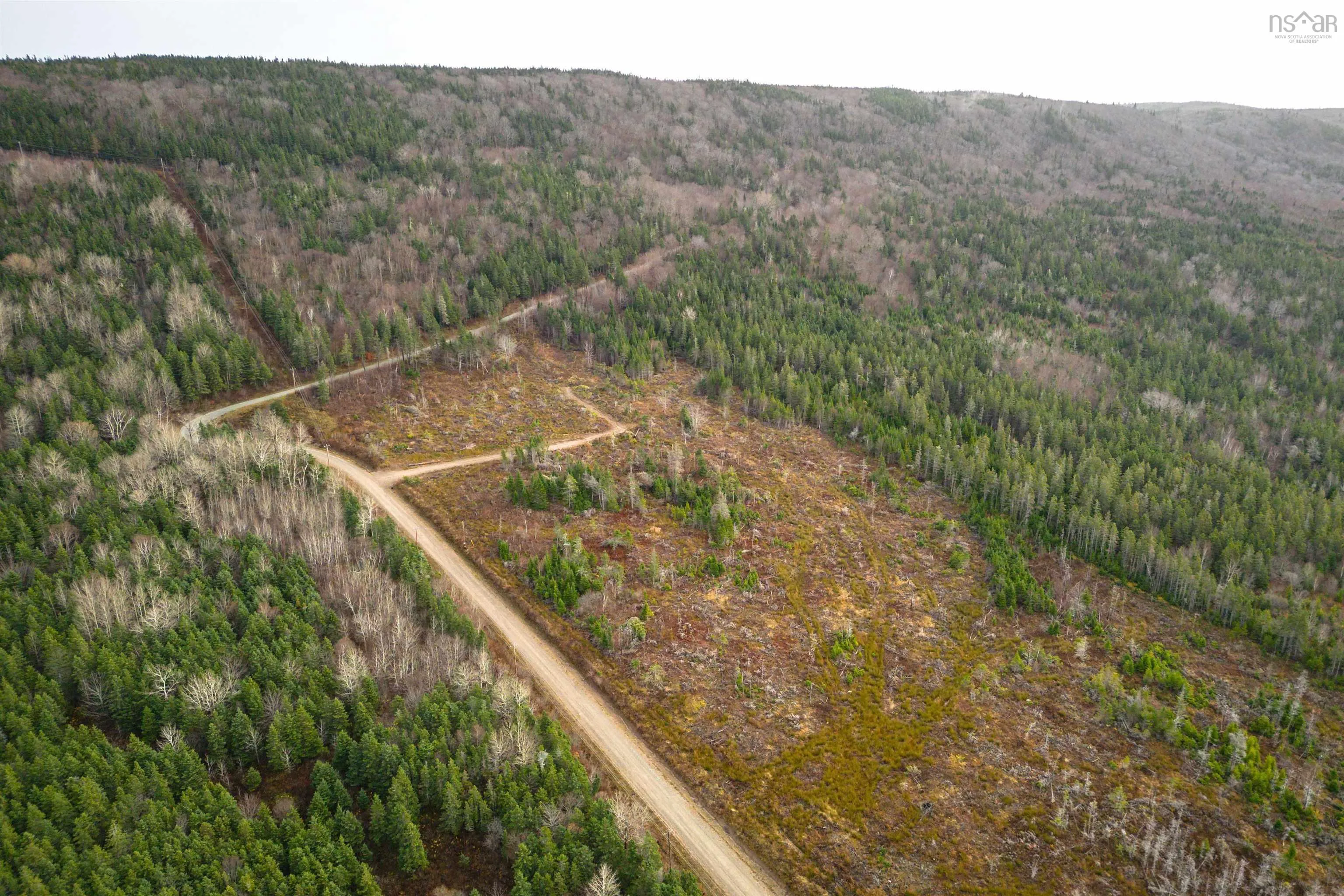 Lot 12 Creignish Mountain Road, Creignish Ns B9a 1b6, ,Land,For Sale,Creignish Mountain,202427130