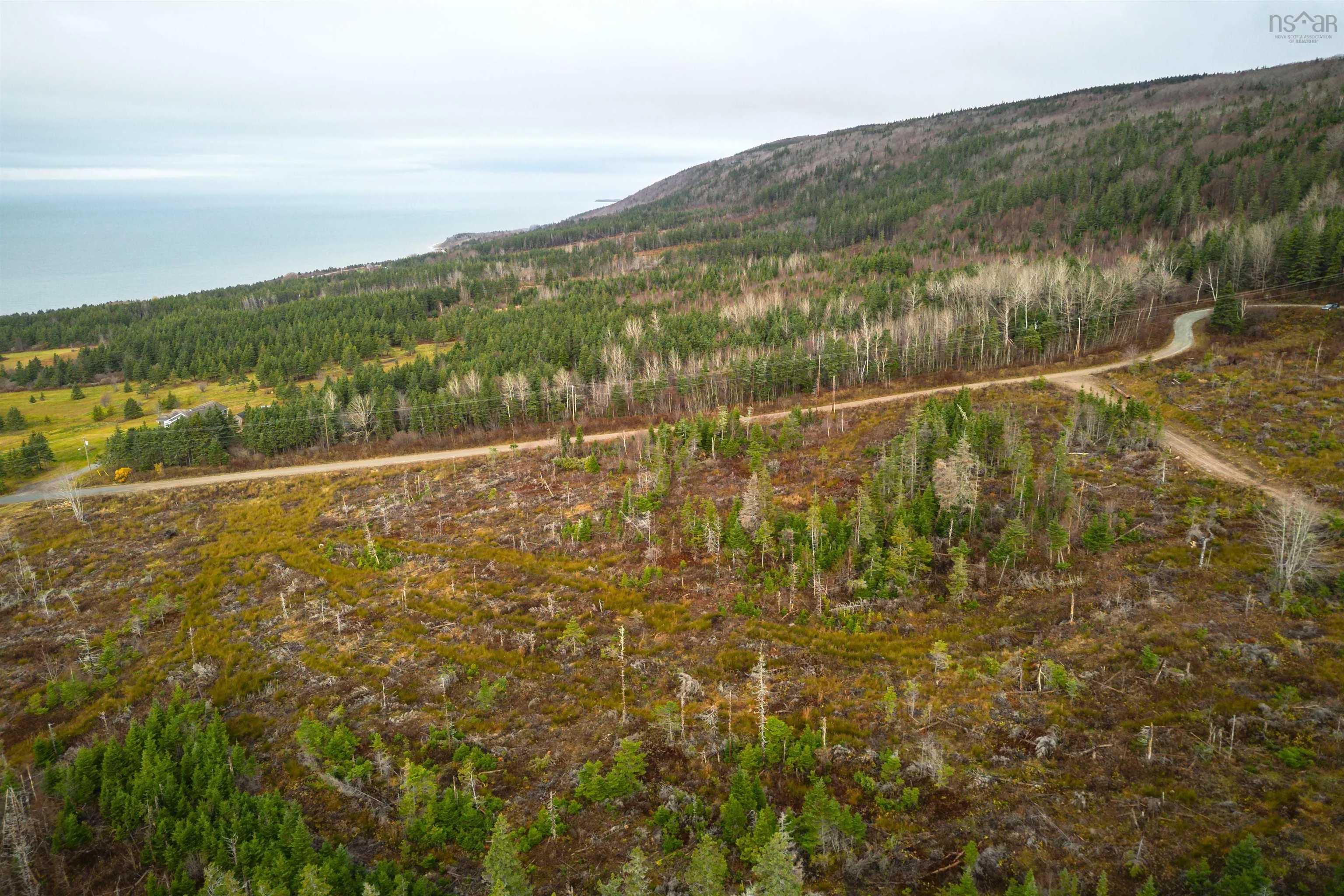 Lot 12 Creignish Mountain Road, Creignish Ns B9a 1b6, ,Land,For Sale,Creignish Mountain,202427130