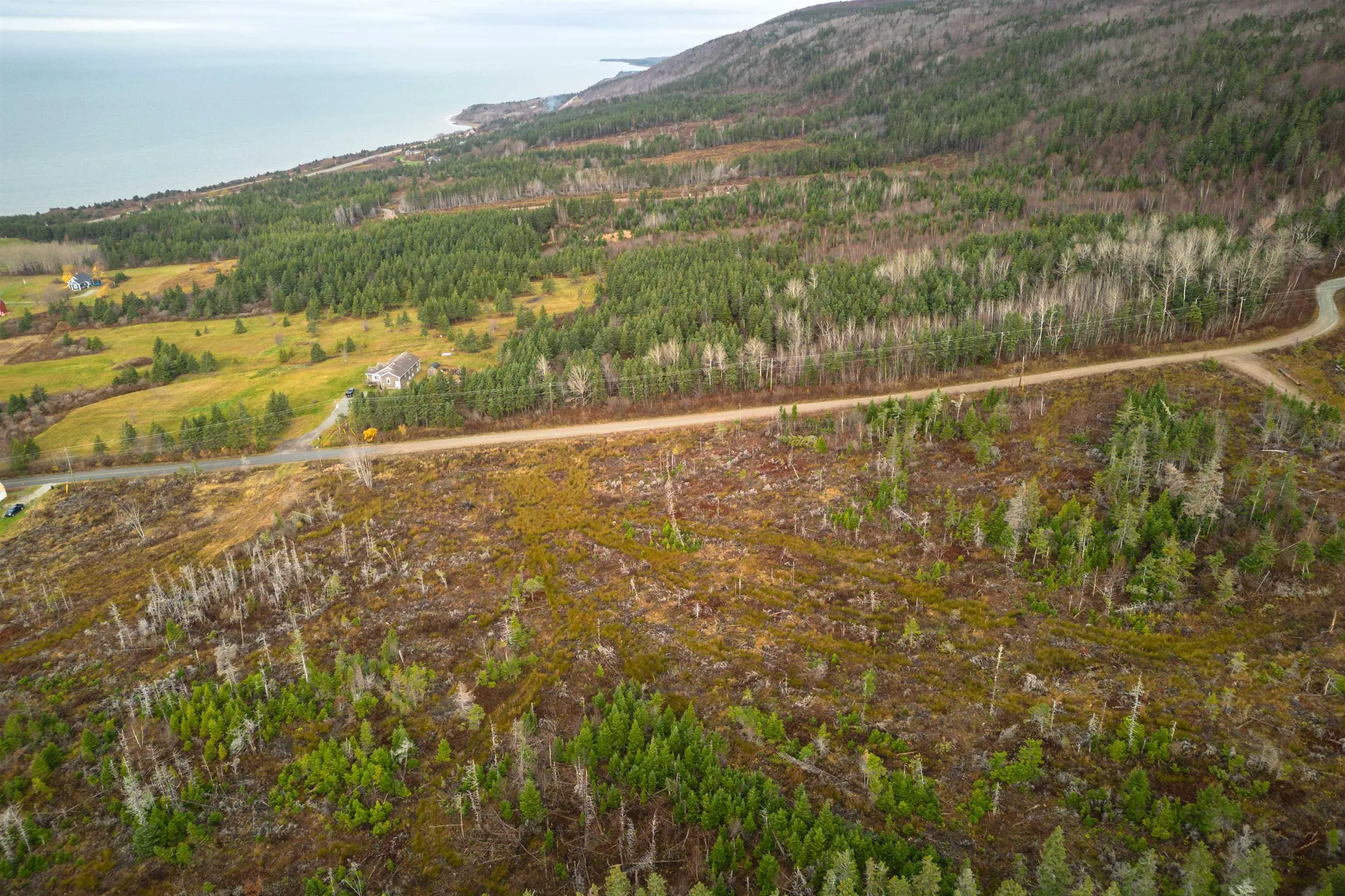 Lot 12 Creignish Mountain Road, Creignish Ns B9a 1b6, ,Land,For Sale,Creignish Mountain,202427130