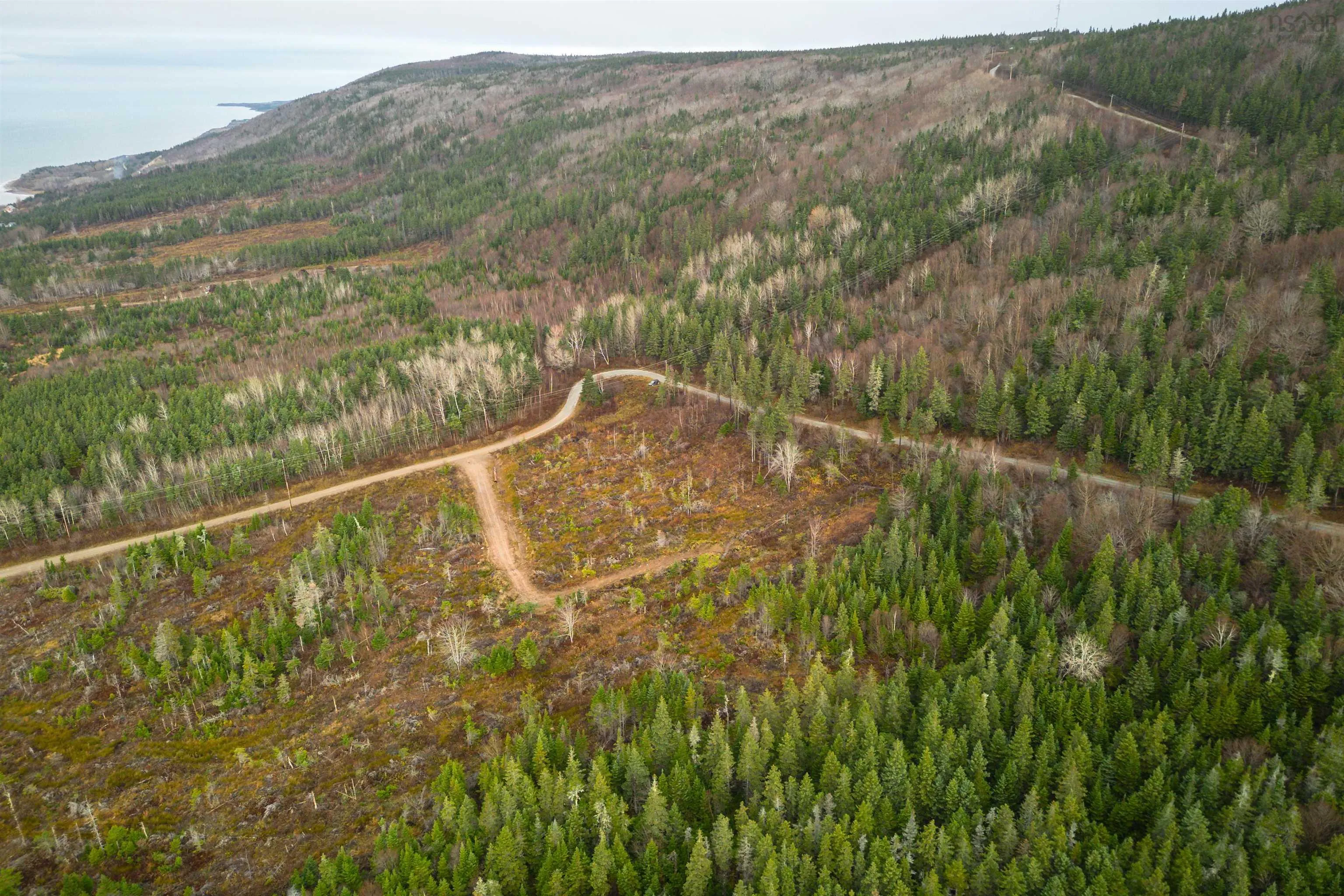 Lot 12 Creignish Mountain Road, Creignish Ns B9a 1b6, ,Land,For Sale,Creignish Mountain,202427130