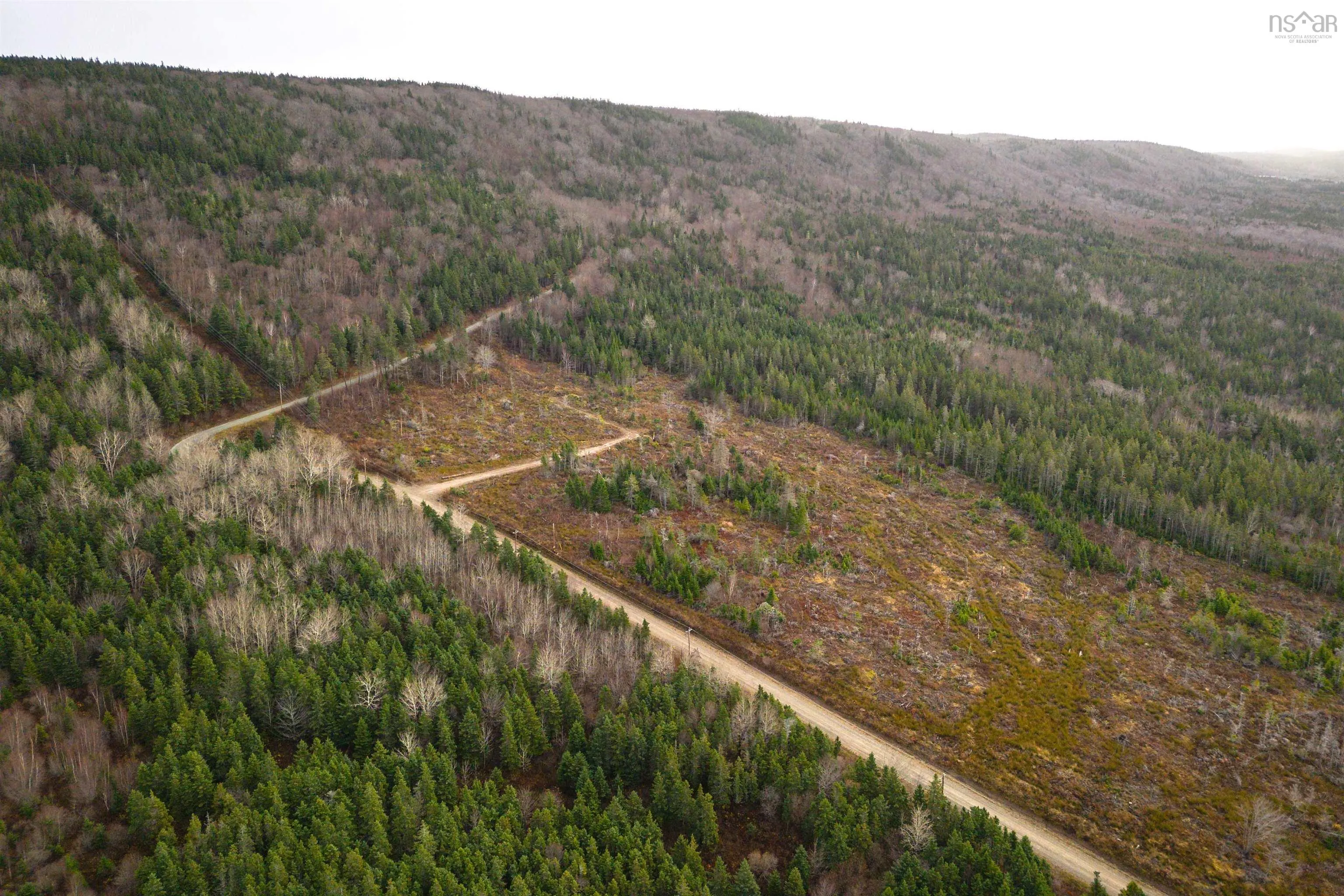 Lot 12 Creignish Mountain Road, Creignish Ns B9a 1b6, ,Land,For Sale,Creignish Mountain,202427130