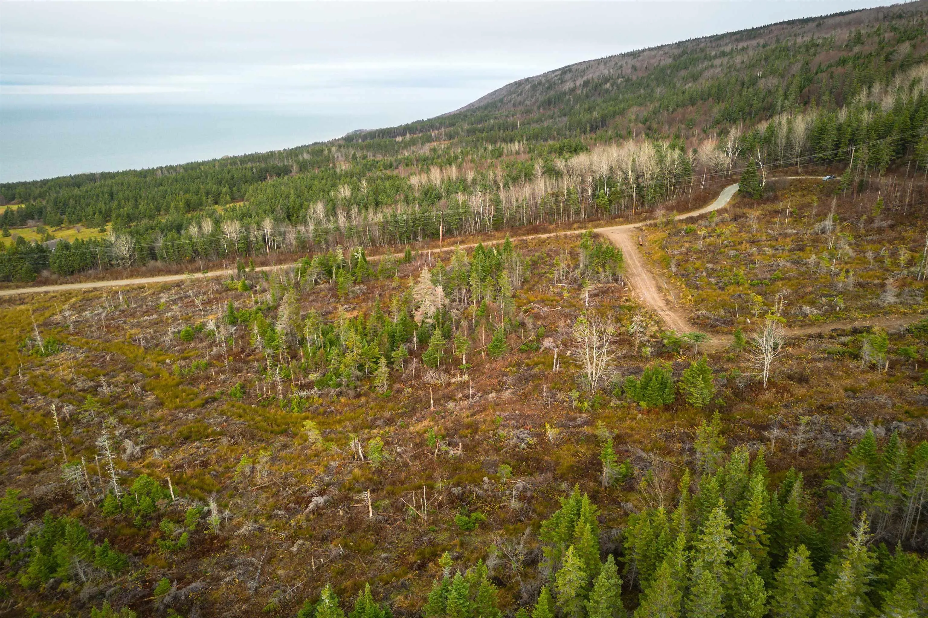 Lot 12 Creignish Mountain Road, Creignish Ns B9a 1b6, ,Land,For Sale,Creignish Mountain,202427130