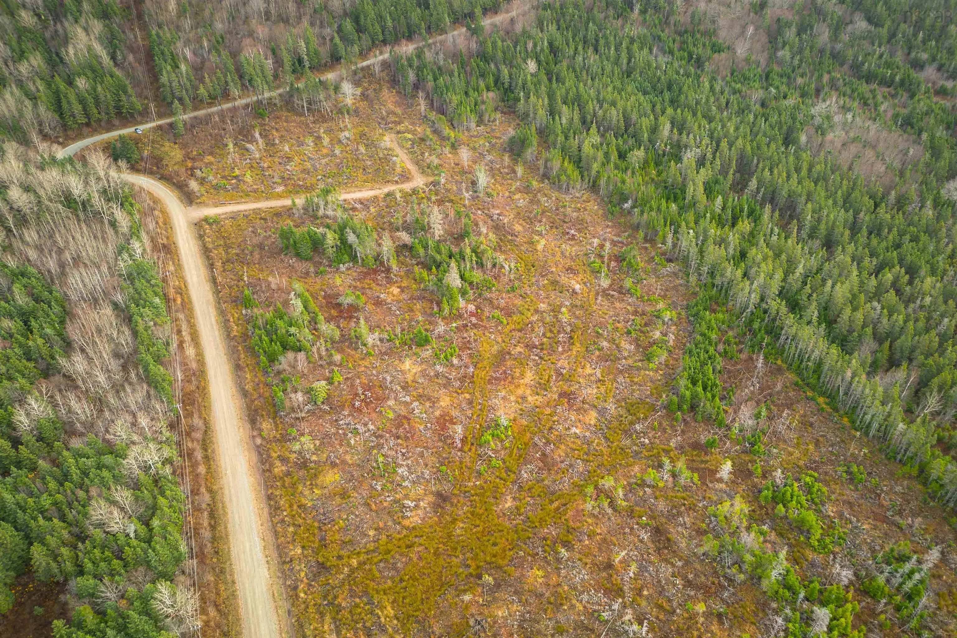 Lot 12 Creignish Mountain Road, Creignish Ns B9a 1b6, ,Land,For Sale,Creignish Mountain,202427130