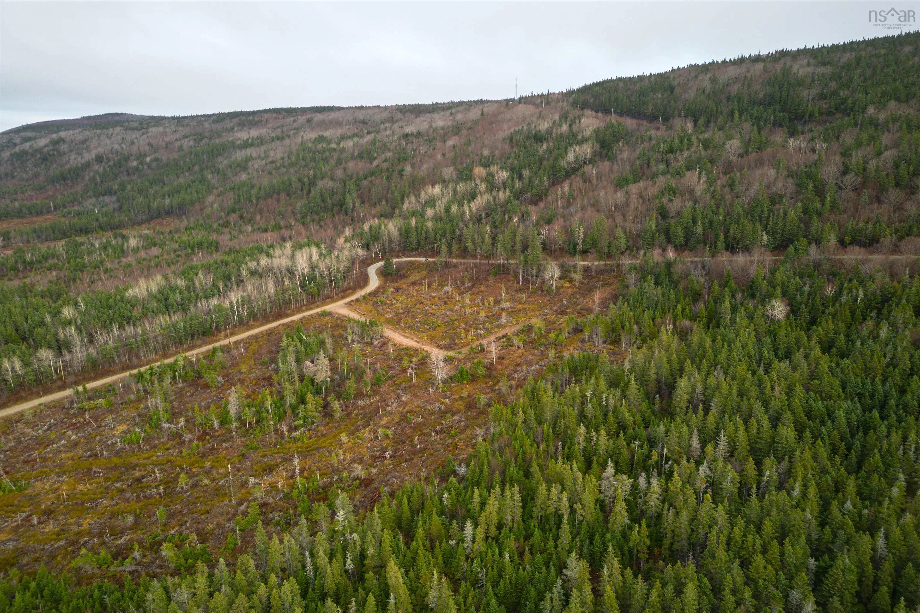 Lot 12 Creignish Mountain Road, Creignish Ns B9a 1b6, ,Land,For Sale,Creignish Mountain,202427130
