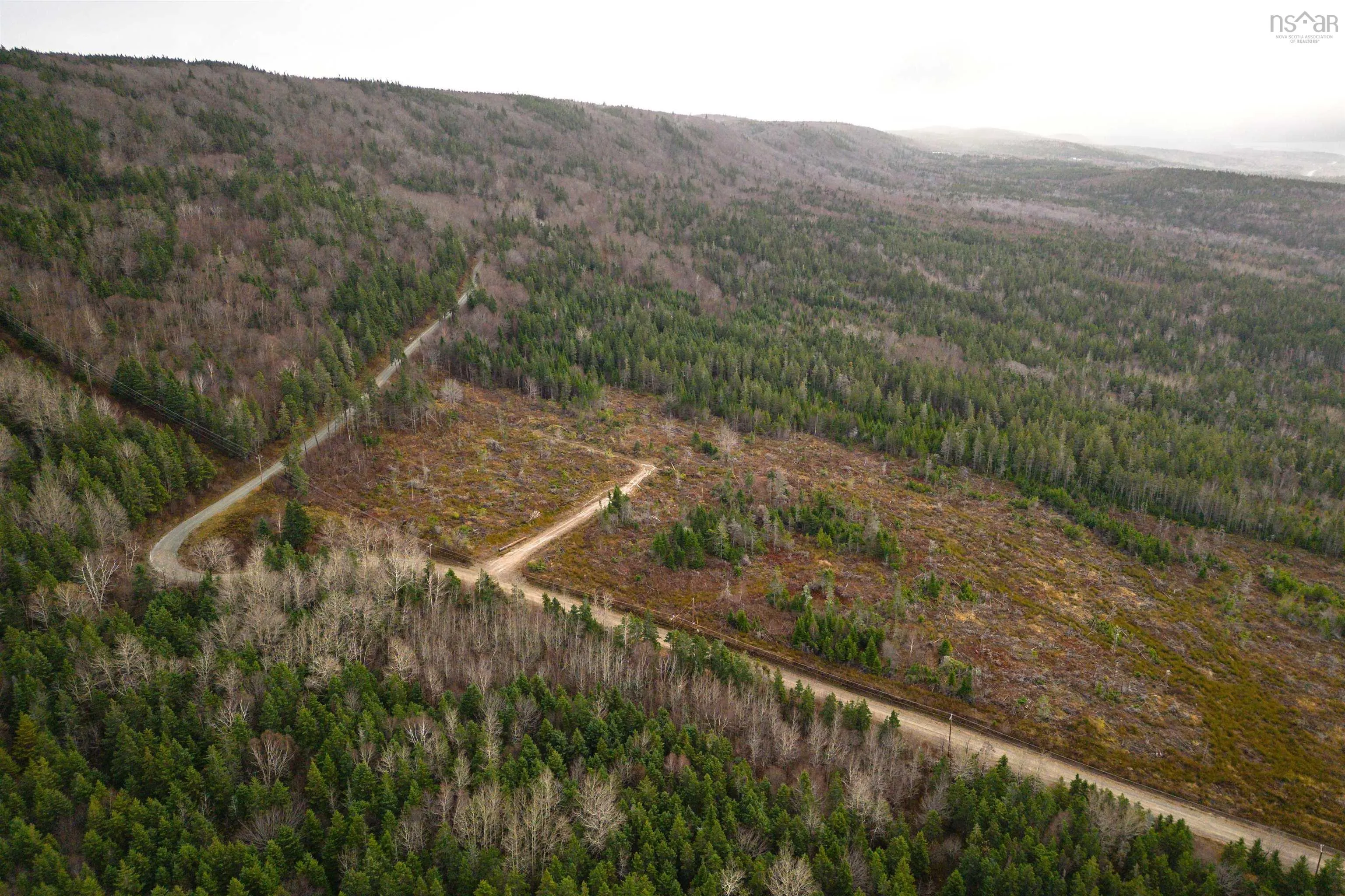 Lot 12 Creignish Mountain Road, Creignish Ns B9a 1b6, ,Land,For Sale,Creignish Mountain,202427130