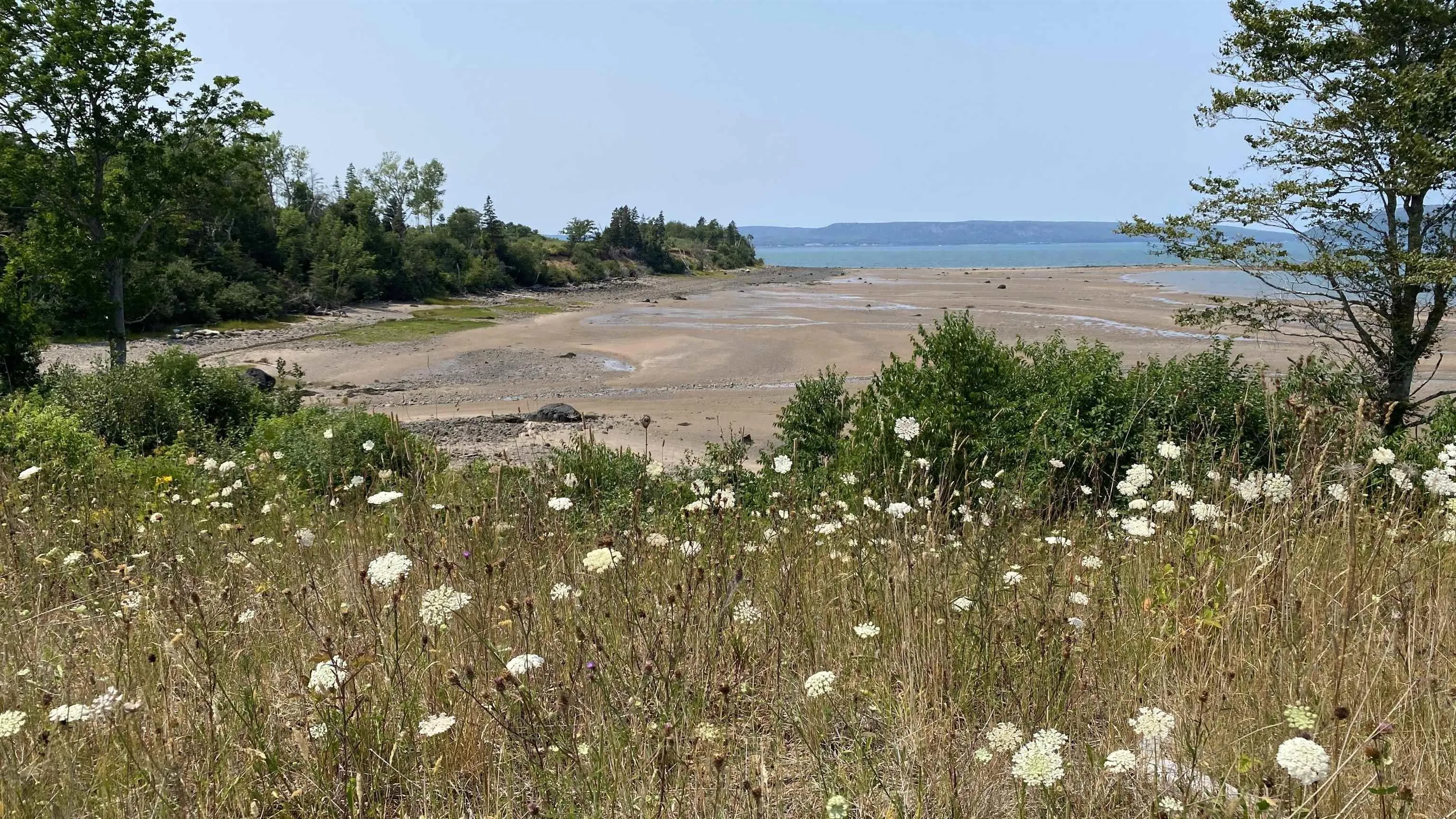 Highway 1 Road, Deep Brook, NS B0S 1J0, ,Land,For Sale,Highway 1,202521068