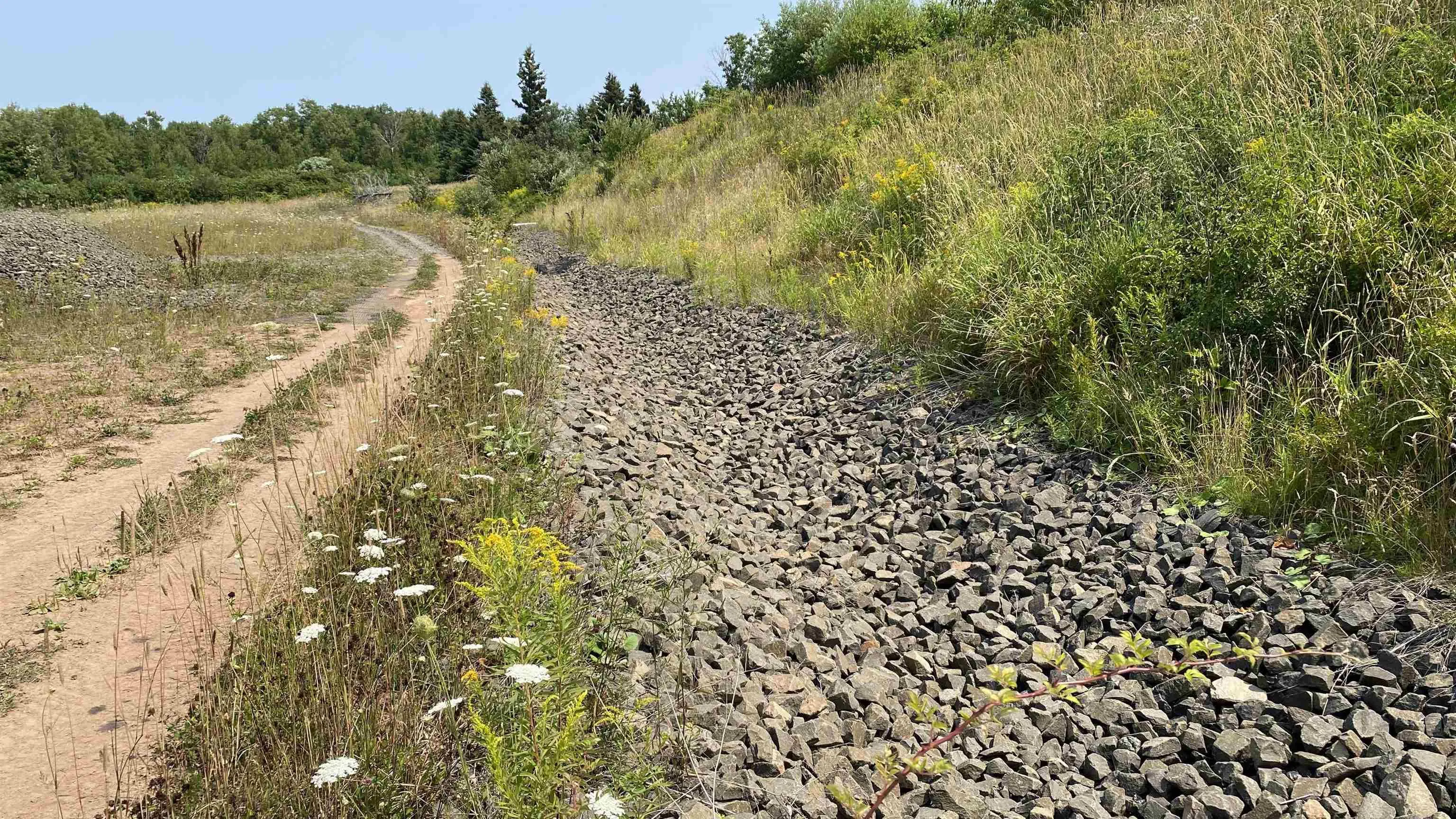 Highway 1 Road, Deep Brook, NS B0S 1J0, ,Land,For Sale,Highway 1,202521068
