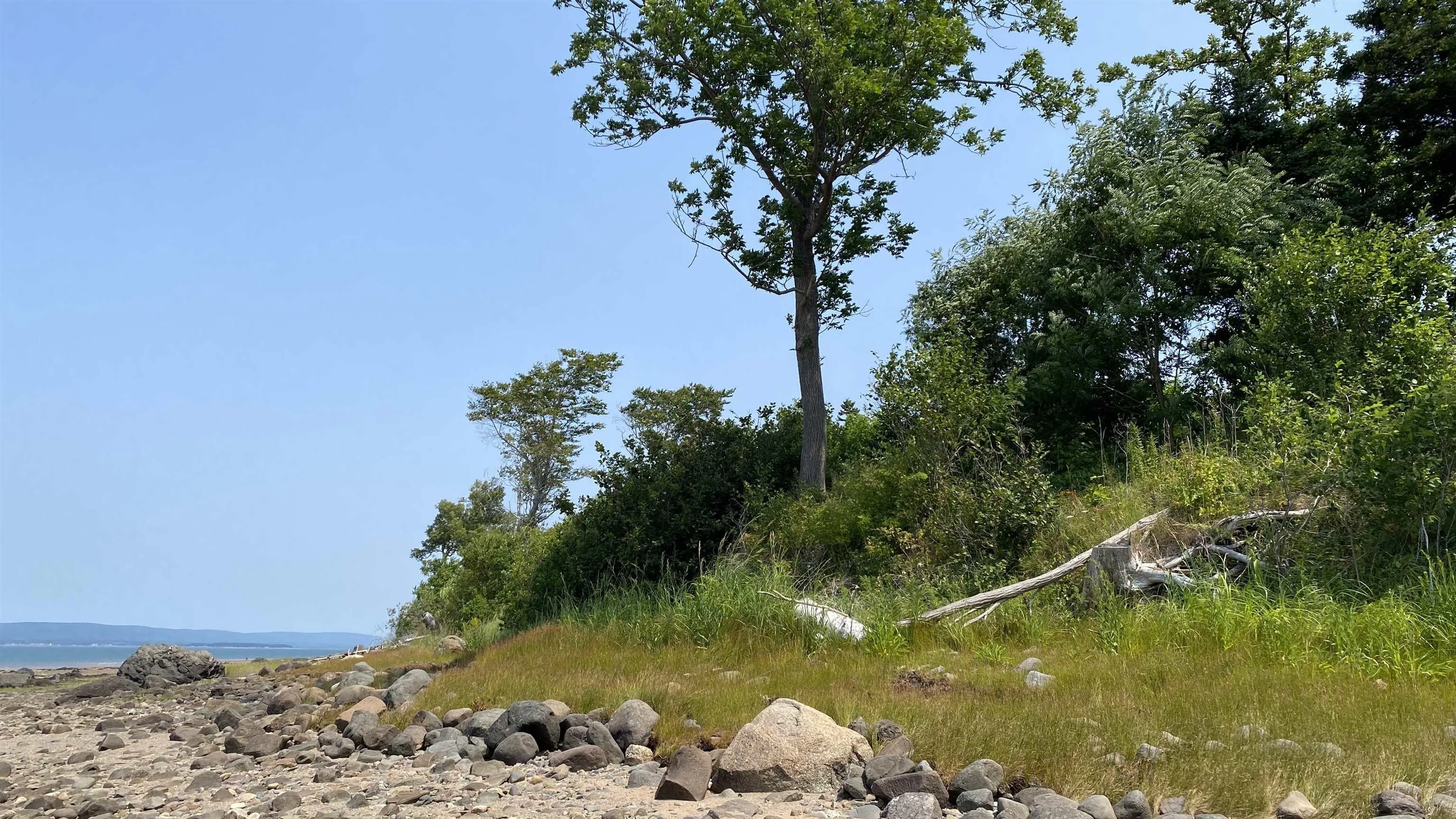 Highway 1 Road, Deep Brook, NS B0S 1J0, ,Land,For Sale,Highway 1,202521068