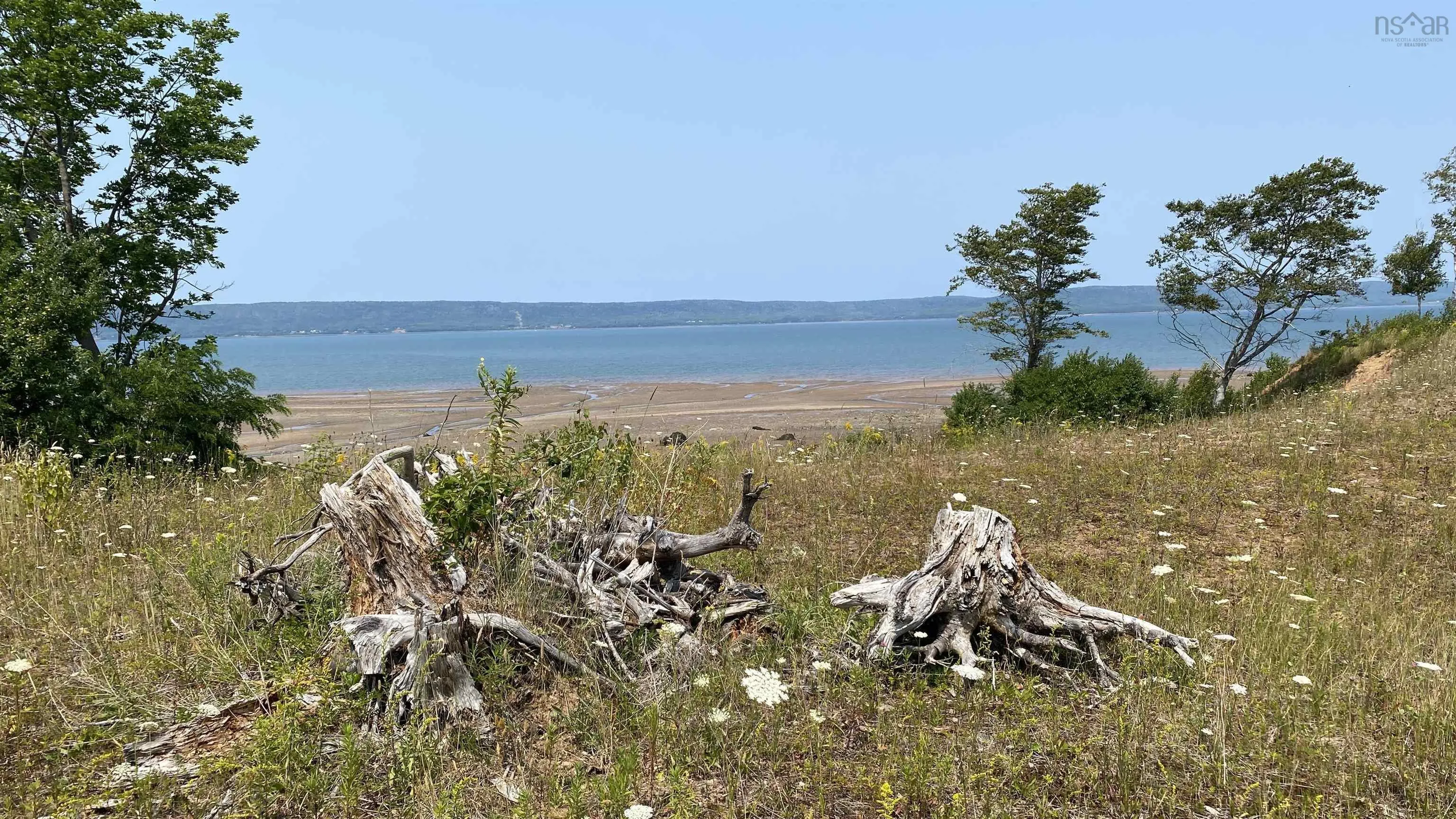 Highway 1 Road, Deep Brook, NS B0S 1J0, ,Land,For Sale,Highway 1,202521068