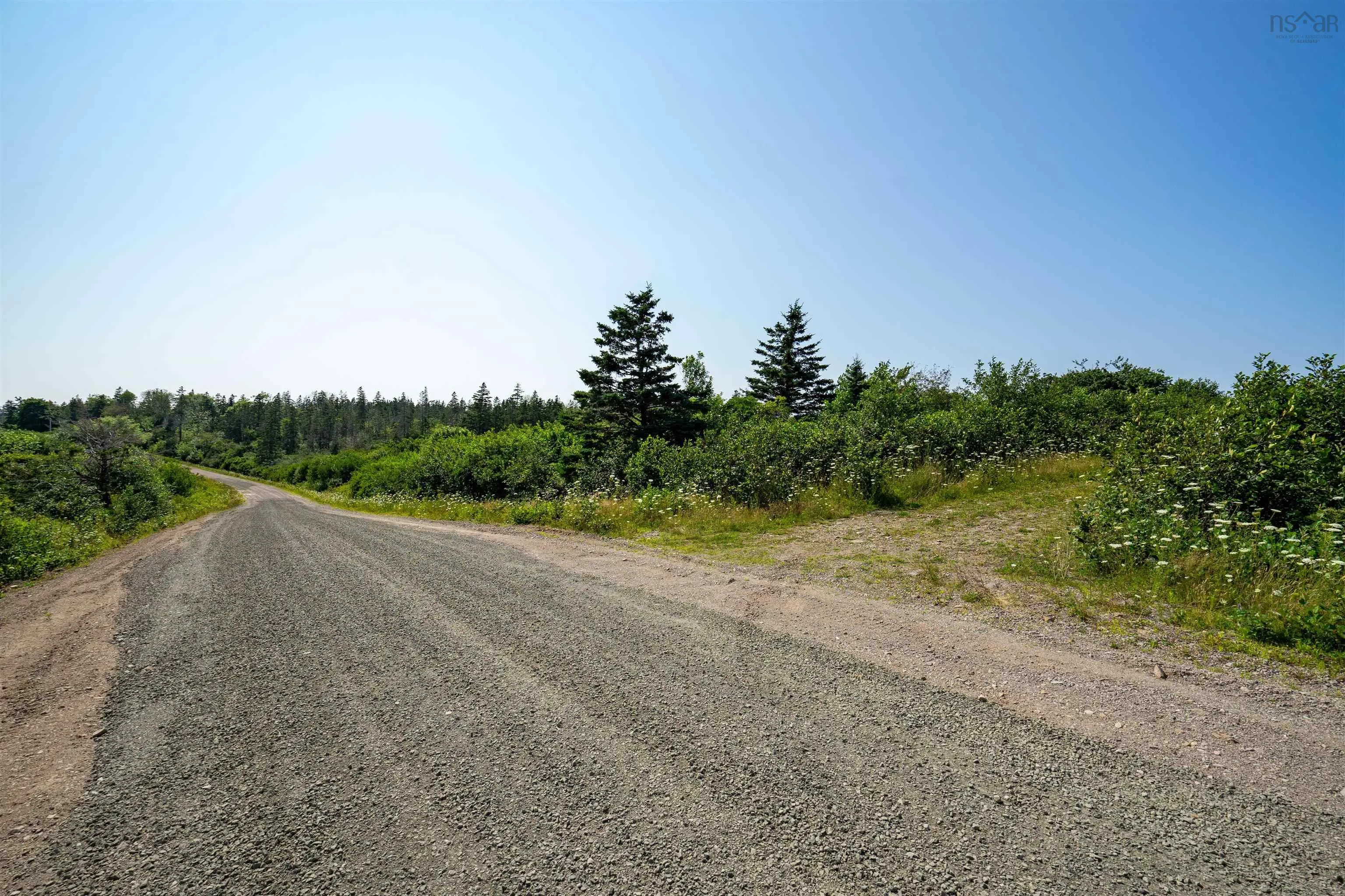 Robicheau Road, Waterford Ns B0v 1a0, ,Land,For Sale,Robicheau Road,202418324