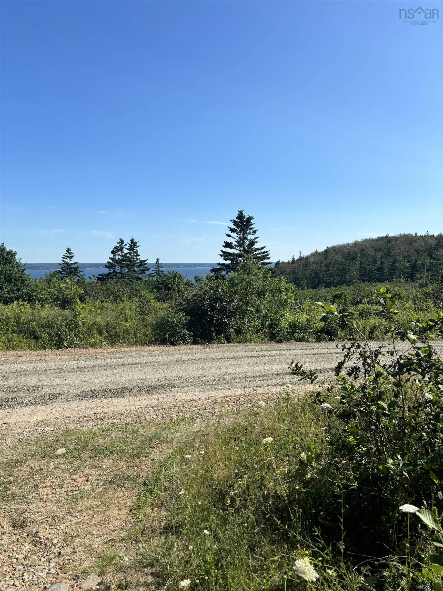 Robicheau Road, Waterford Ns B0v 1a0, ,Land,For Sale,Robicheau Road,202418324
