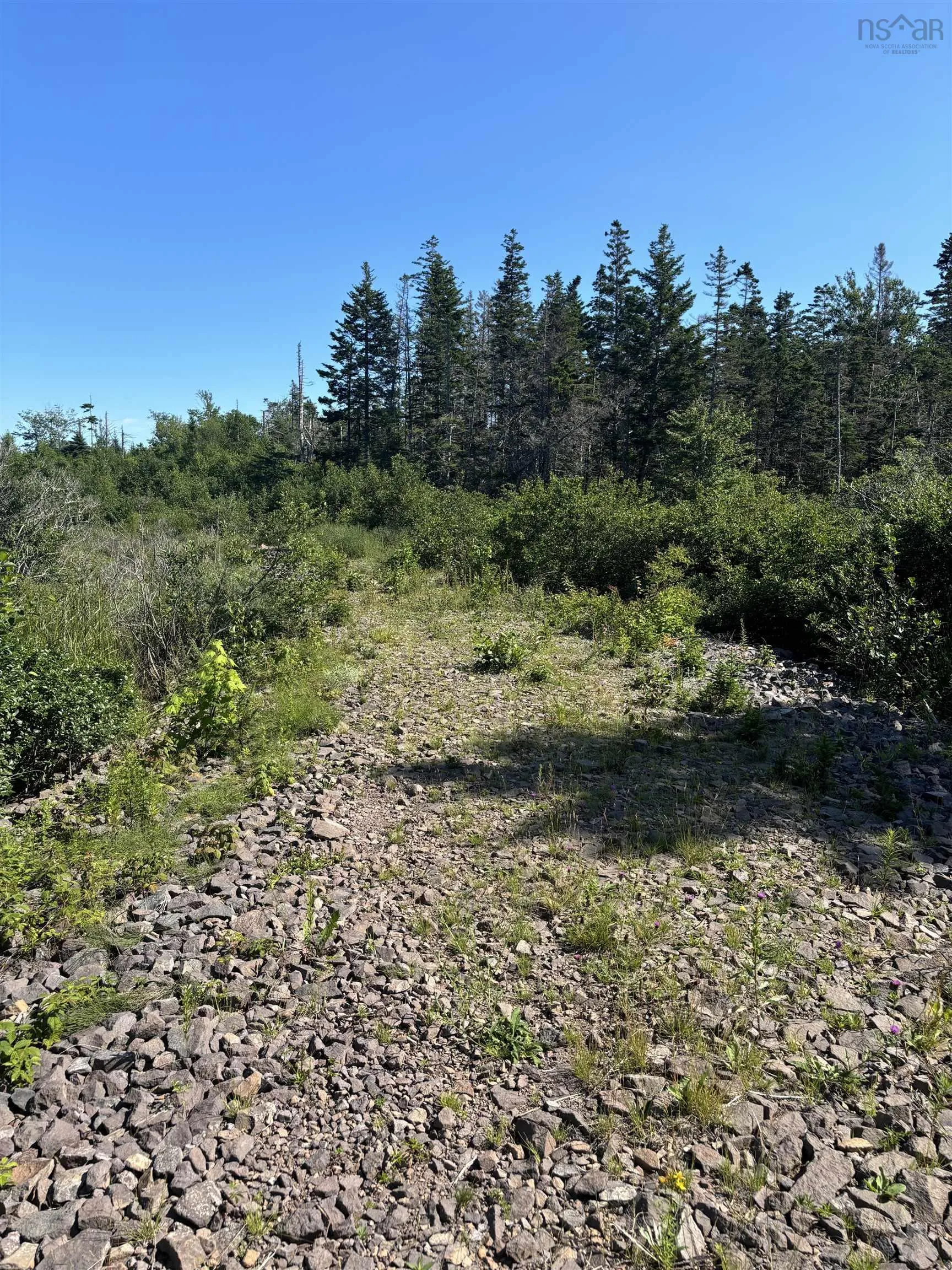Robicheau Road, Waterford Ns B0v 1a0, ,Land,For Sale,Robicheau Road,202418324