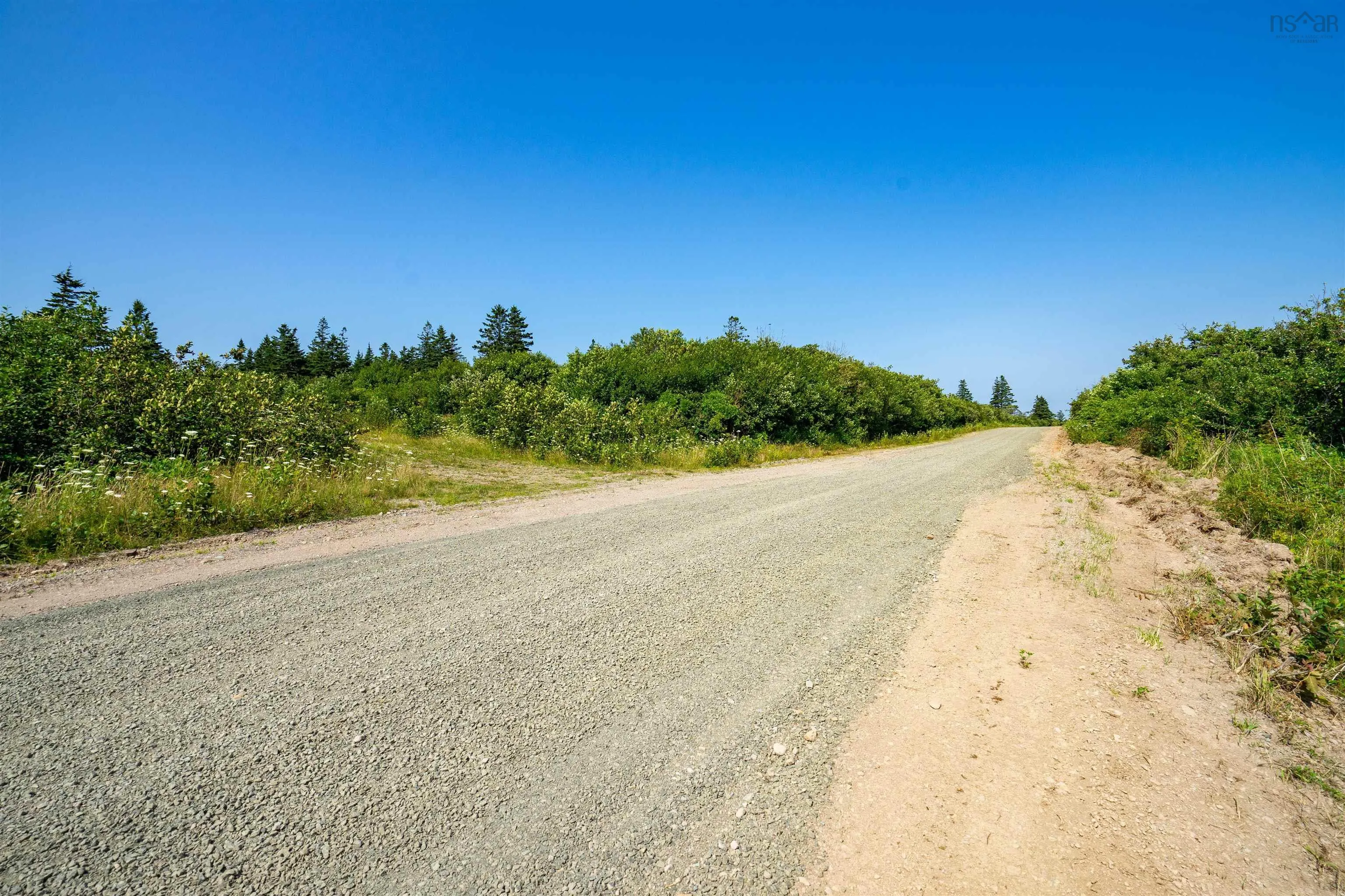 Robicheau Road, Waterford Ns B0v 1a0, ,Land,For Sale,Robicheau Road,202418324