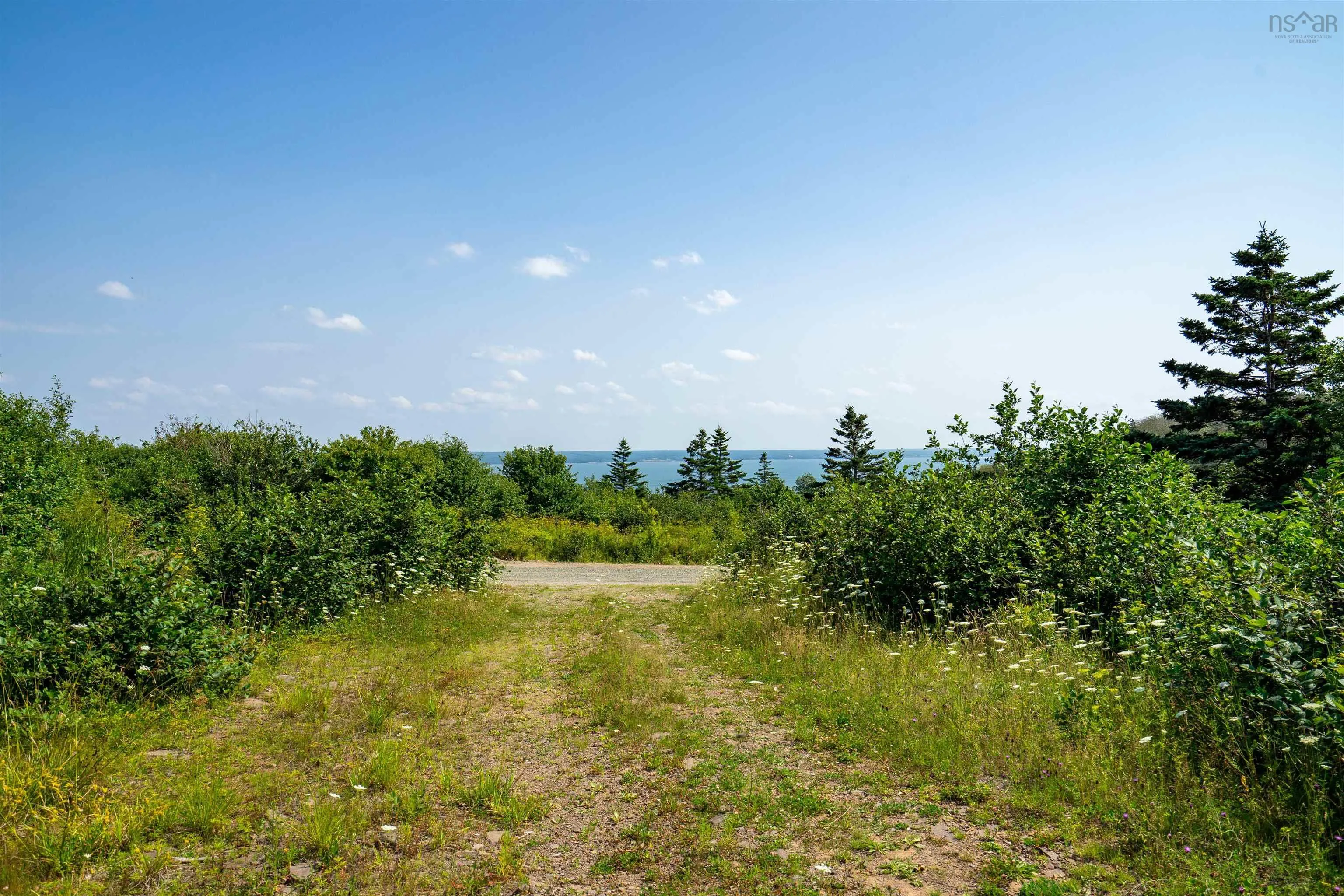 Robicheau Road, Waterford Ns B0v 1a0, ,Land,For Sale,Robicheau Road,202418324