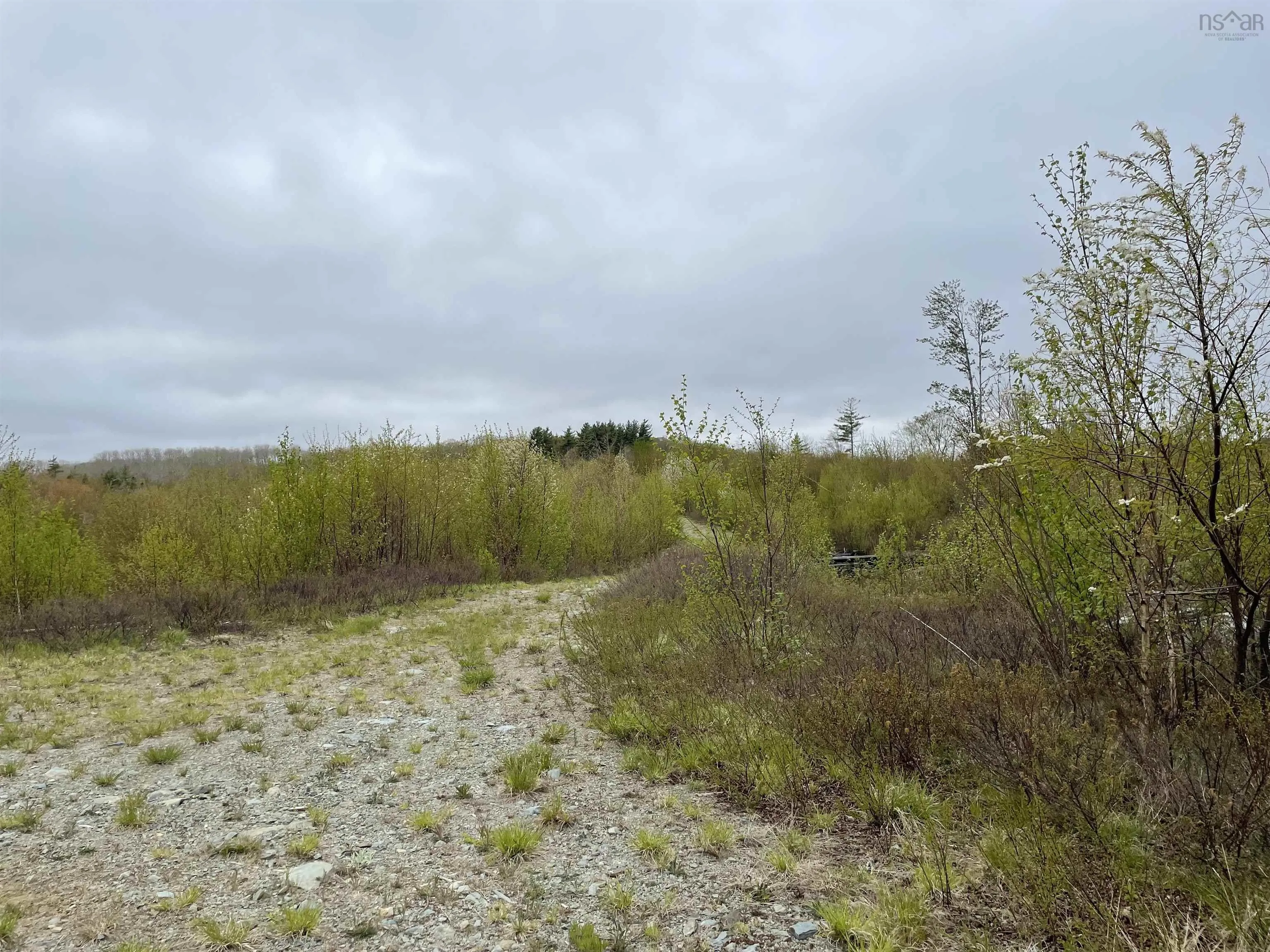 Baker Point Road Lot 1, Molega North, NS B0T 1X0, ,Land,For Sale,Baker Point,202518304