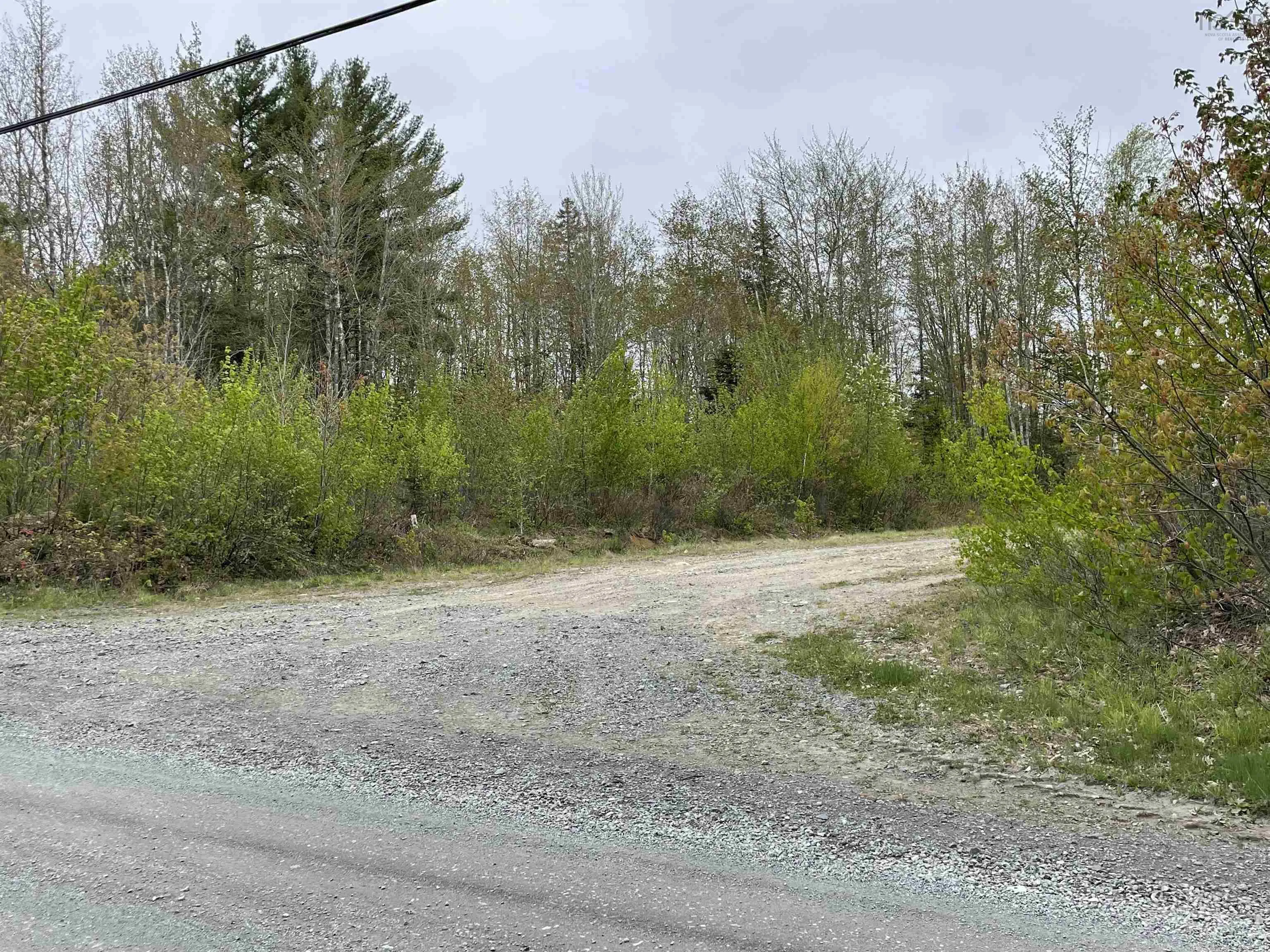 Baker Point Road Lot 1, Molega North, NS B0T 1X0, ,Land,For Sale,Baker Point,202518304