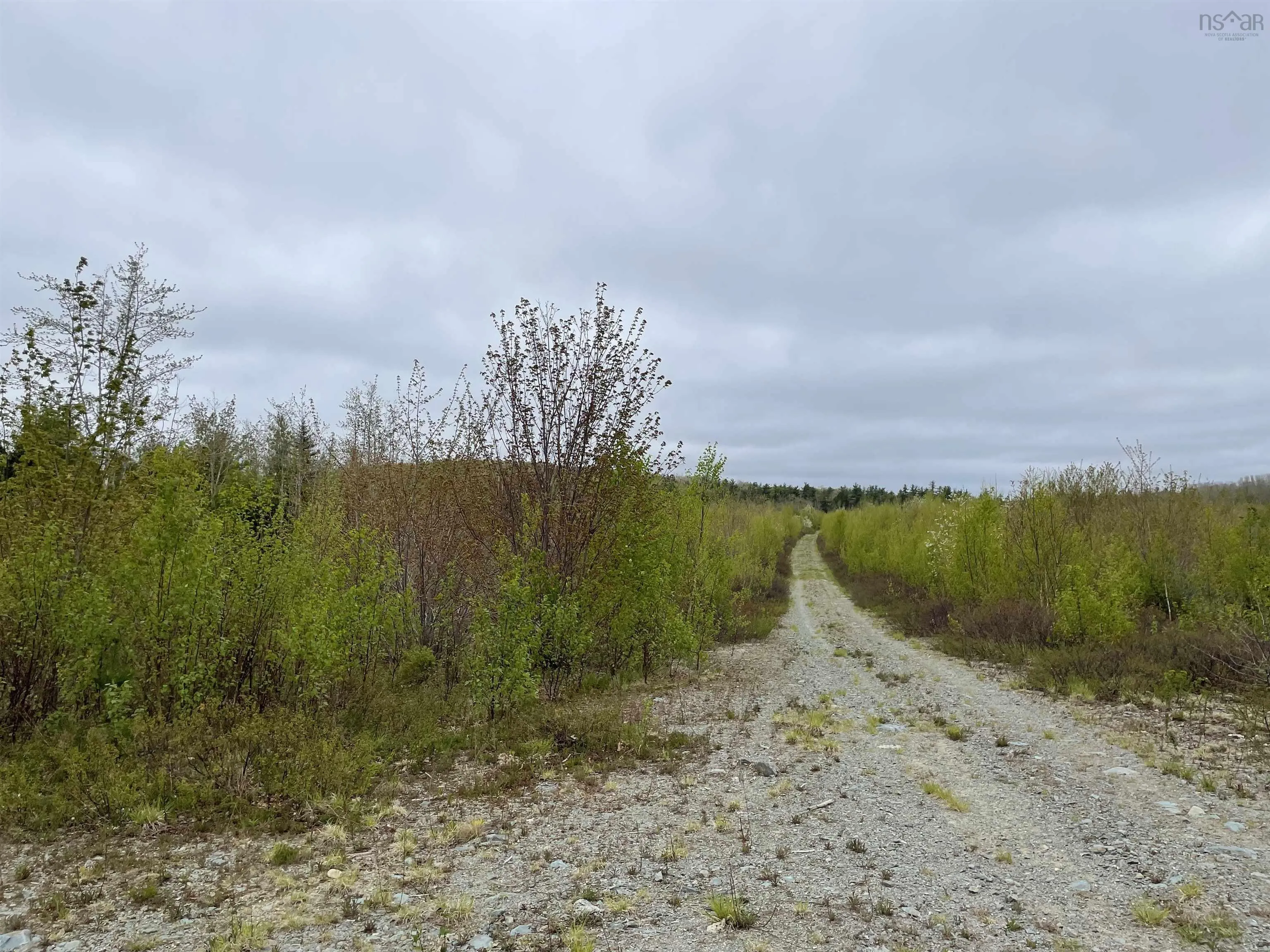 Baker Point Road Lot 1, Molega North, NS B0T 1X0, ,Land,For Sale,Baker Point,202518304