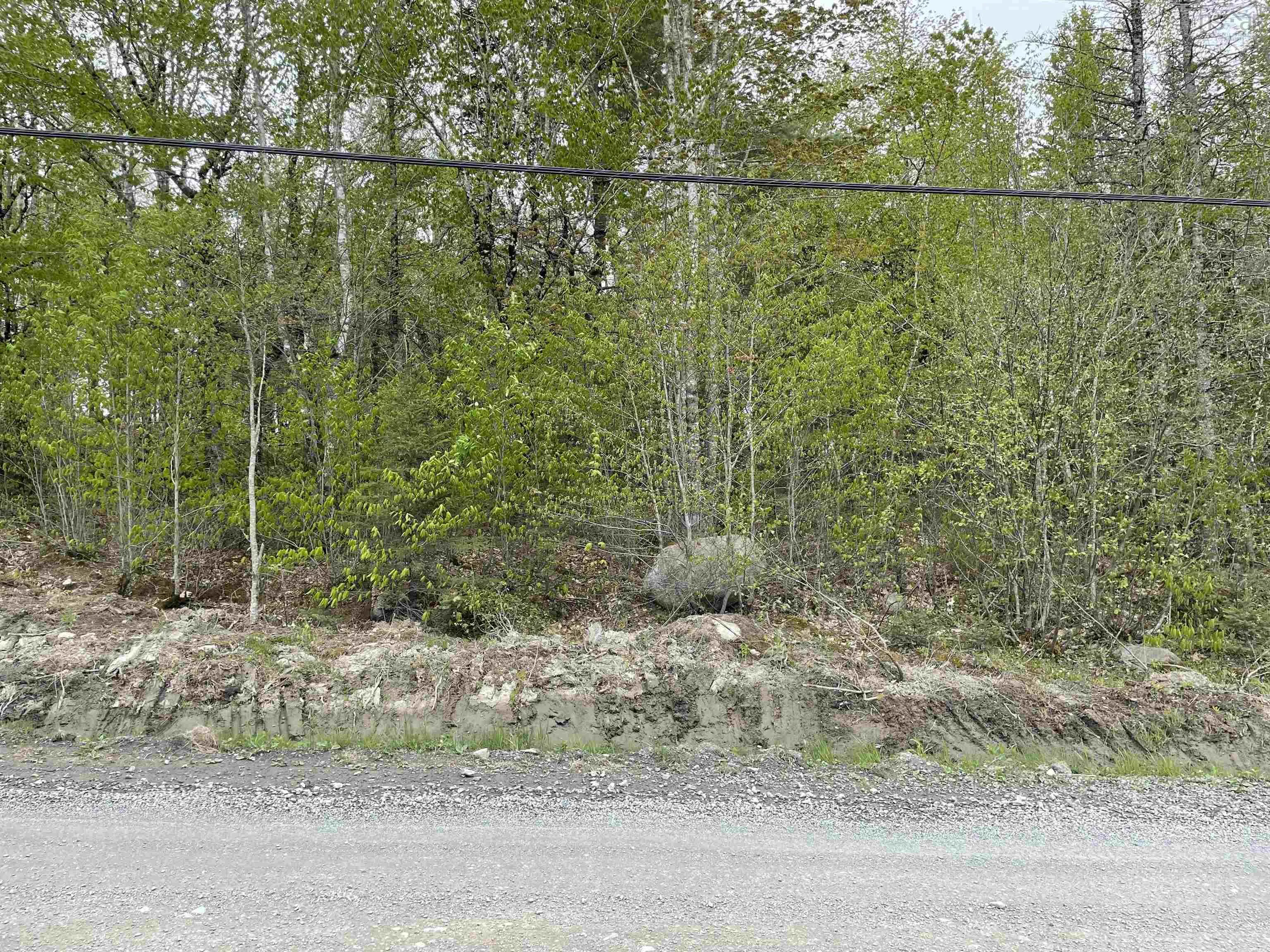 Baker Point Road Lot 1, Molega North, NS B0T 1X0, ,Land,For Sale,Baker Point,202518304