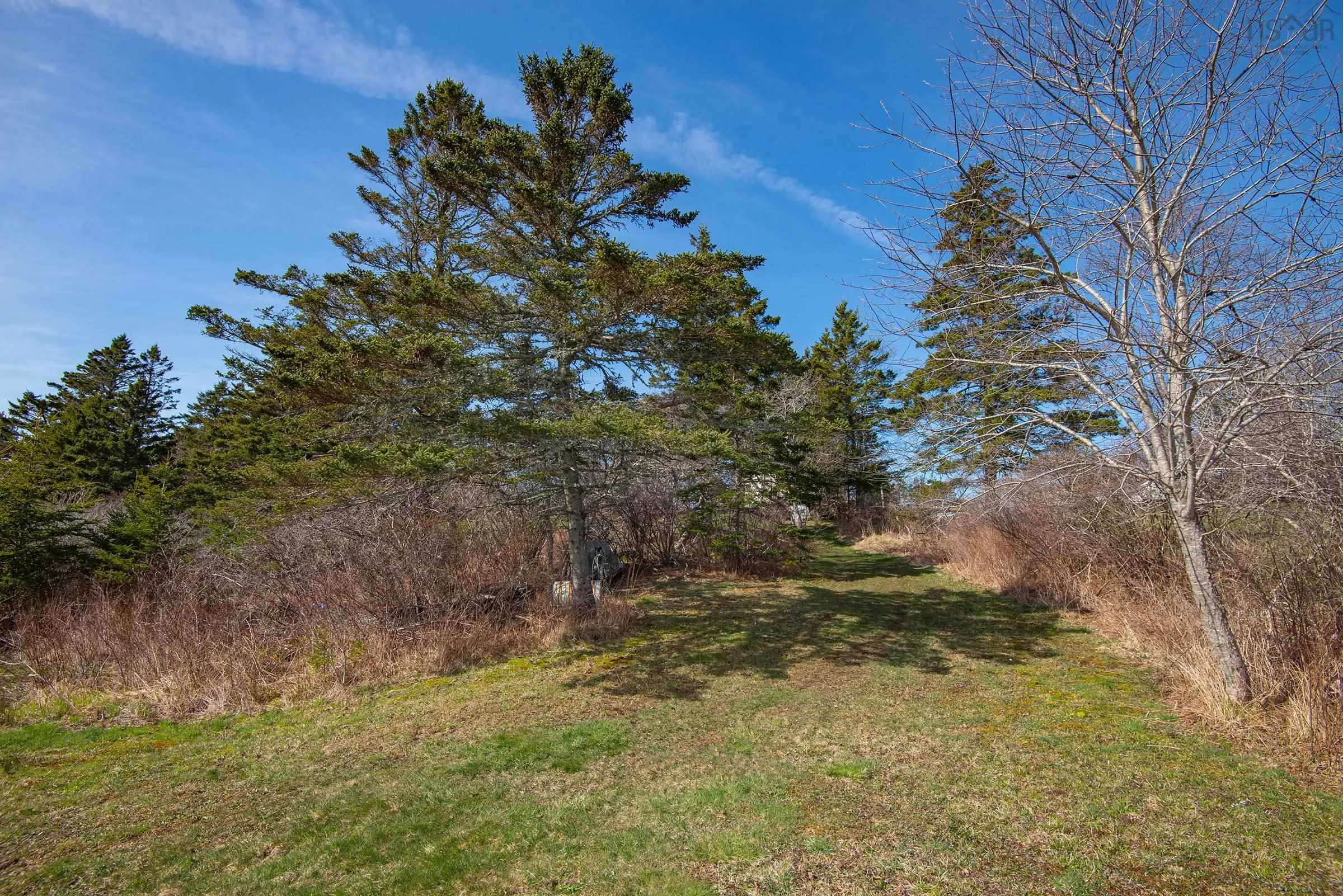 5 Strickland Road, Yarmouth Ns B5a 5a6, 4 Bedrooms Bedrooms, ,1 BathroomBathrooms,Residential,For Sale,Strickland,202509077